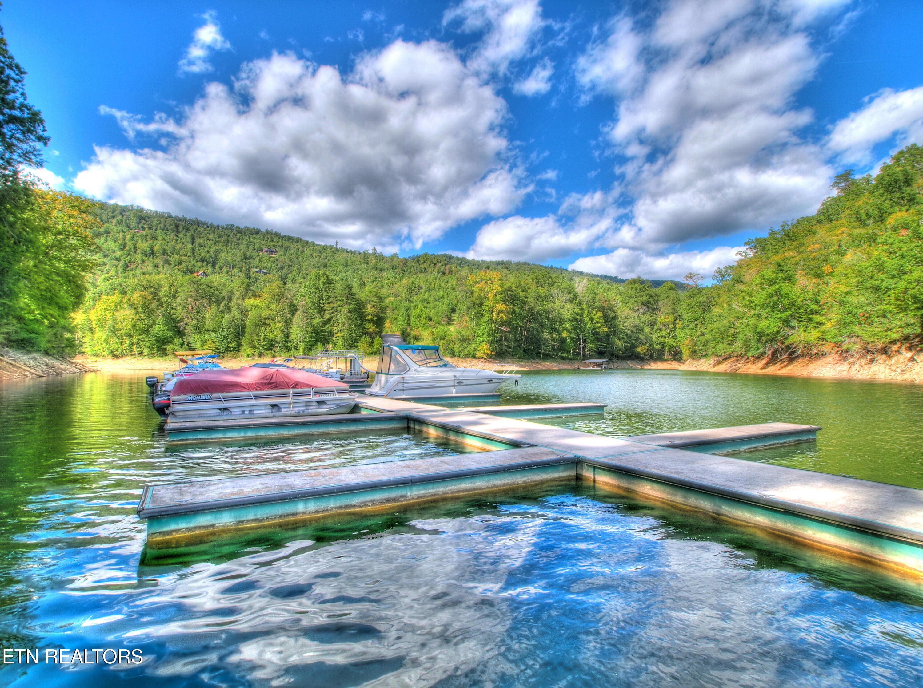 Norris Lake Real Estate - Image# 28