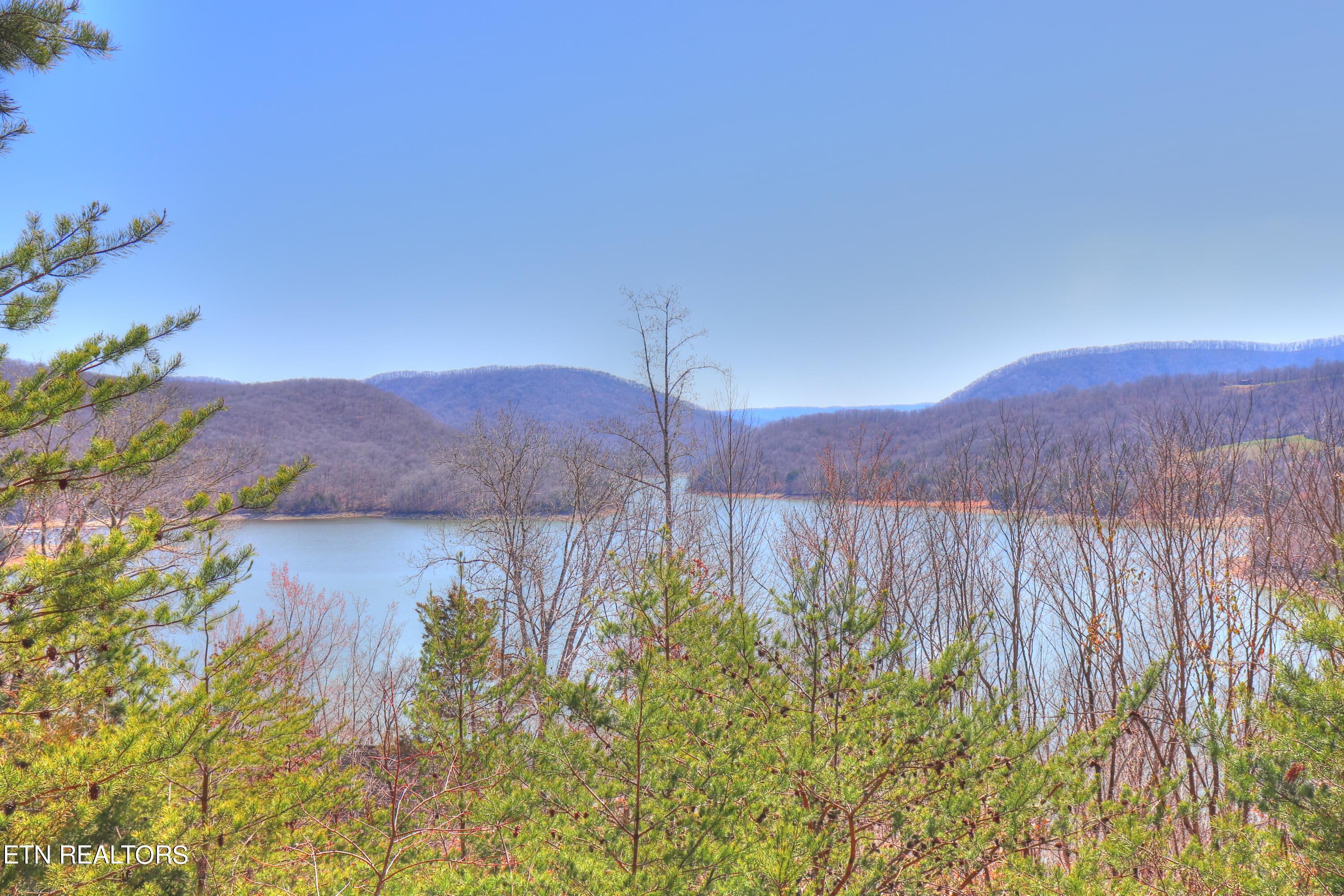 Norris Lake Real Estate - Image# 4