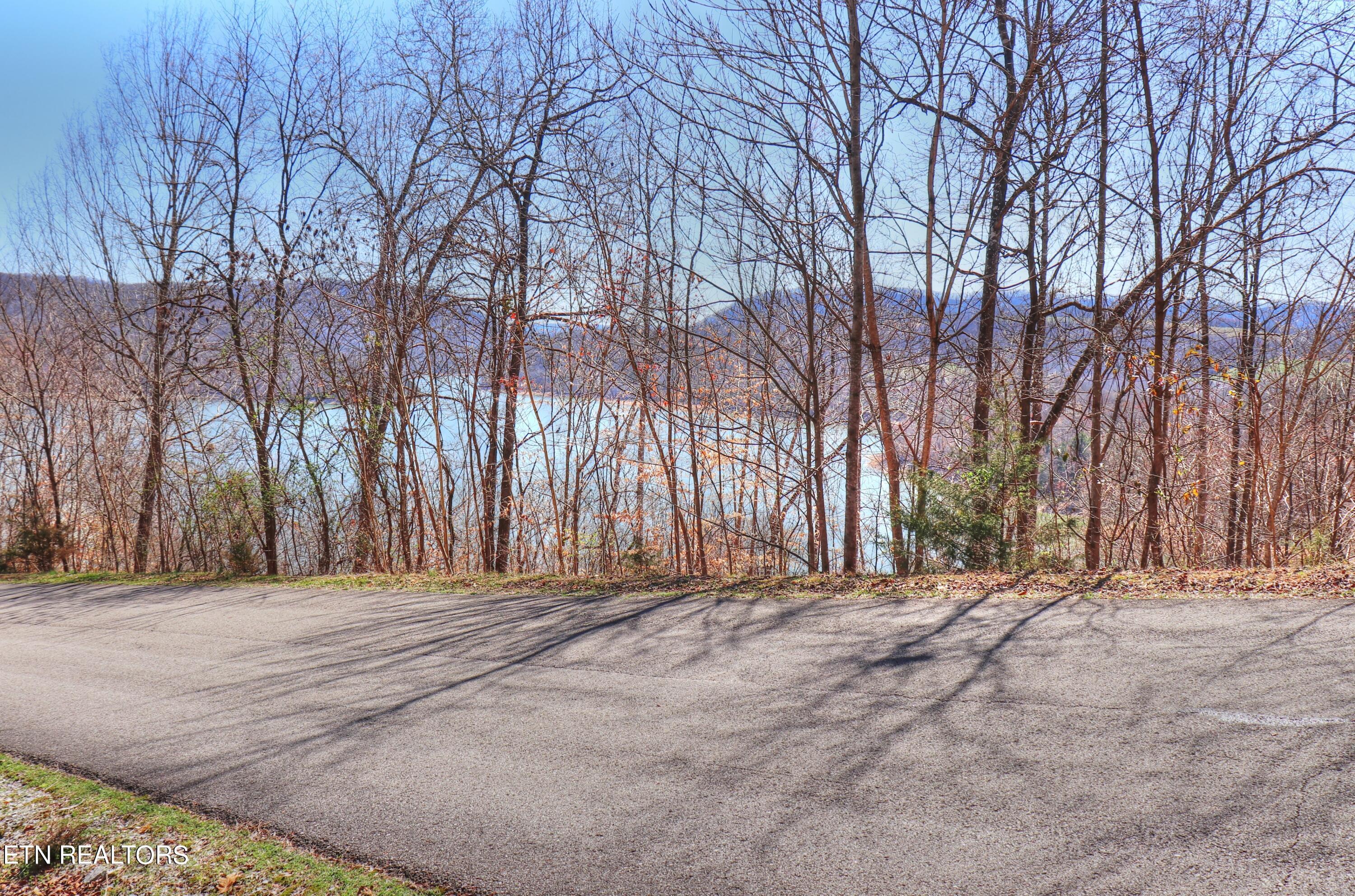 Norris Lake Real Estate - Image# 8