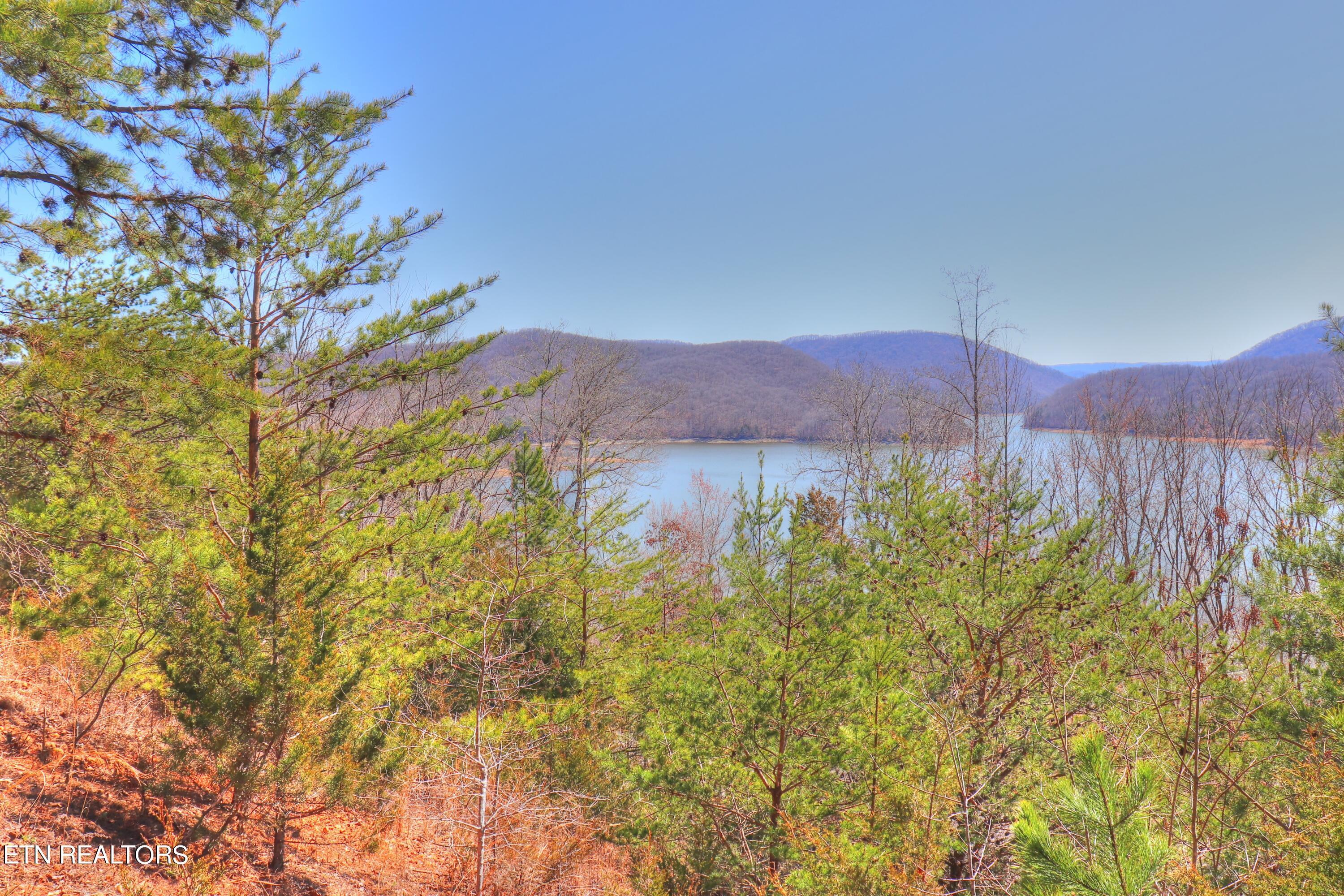 Norris Lake Real Estate - Image# 10