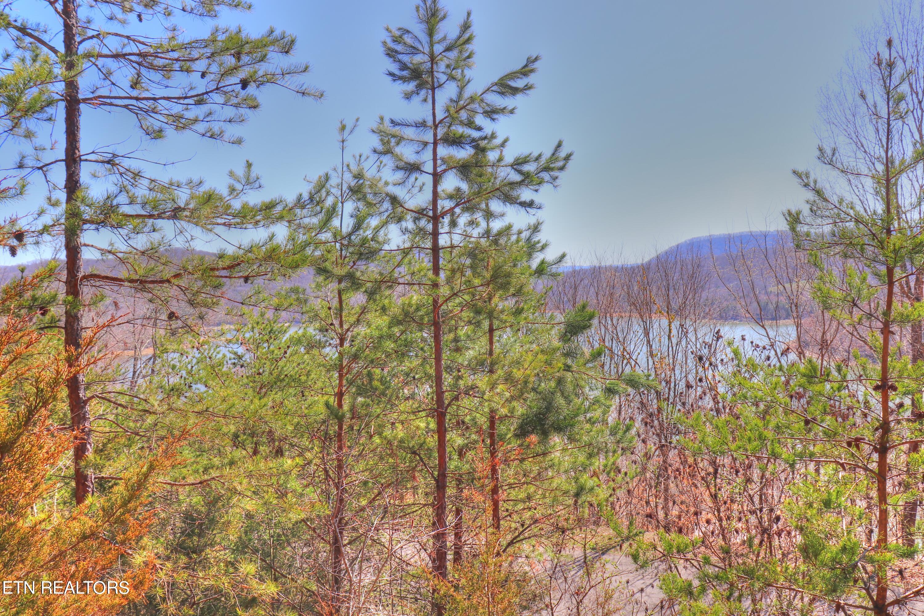 Norris Lake Real Estate - Image# 11