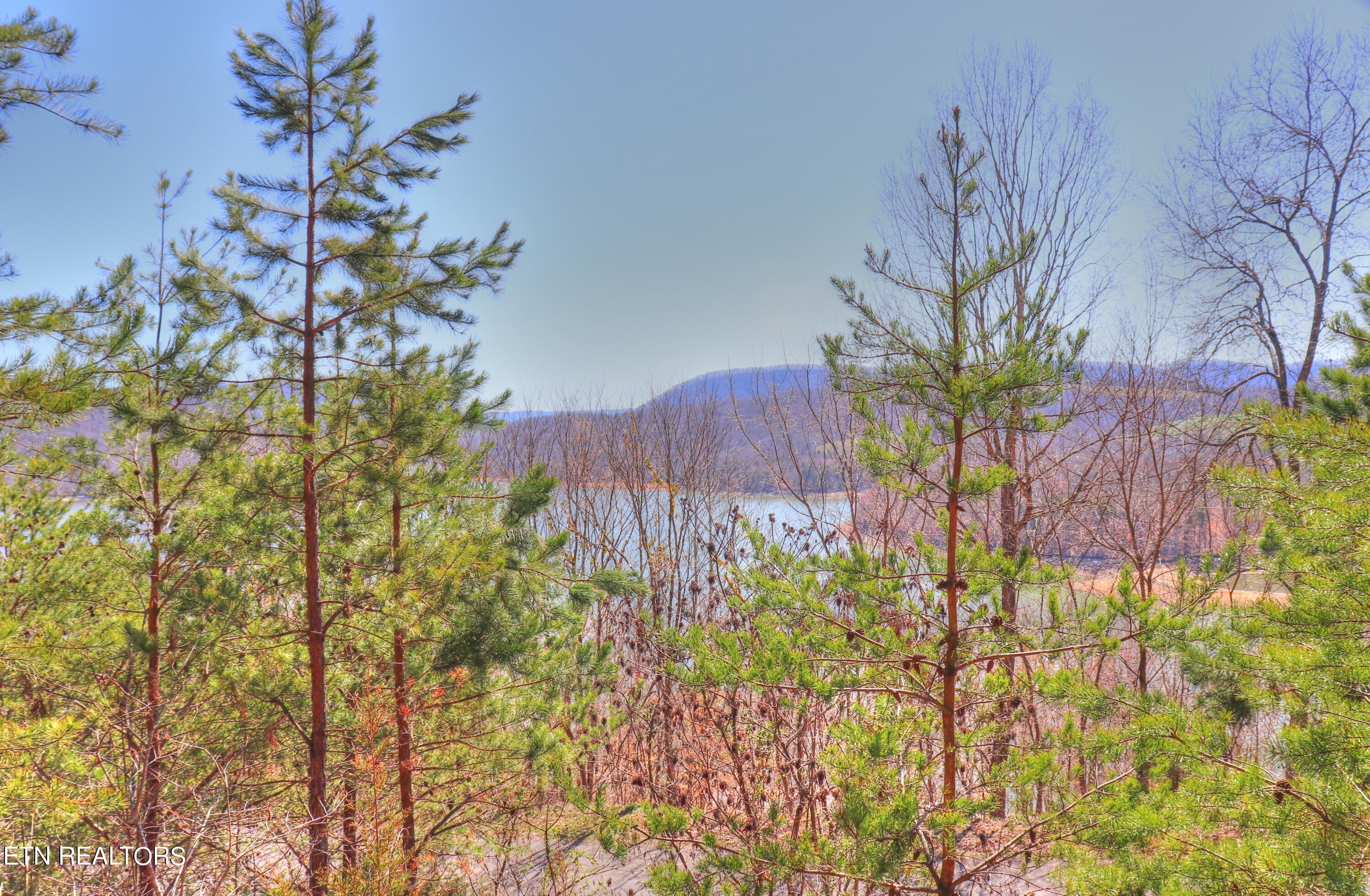 Norris Lake Real Estate - Image# 12