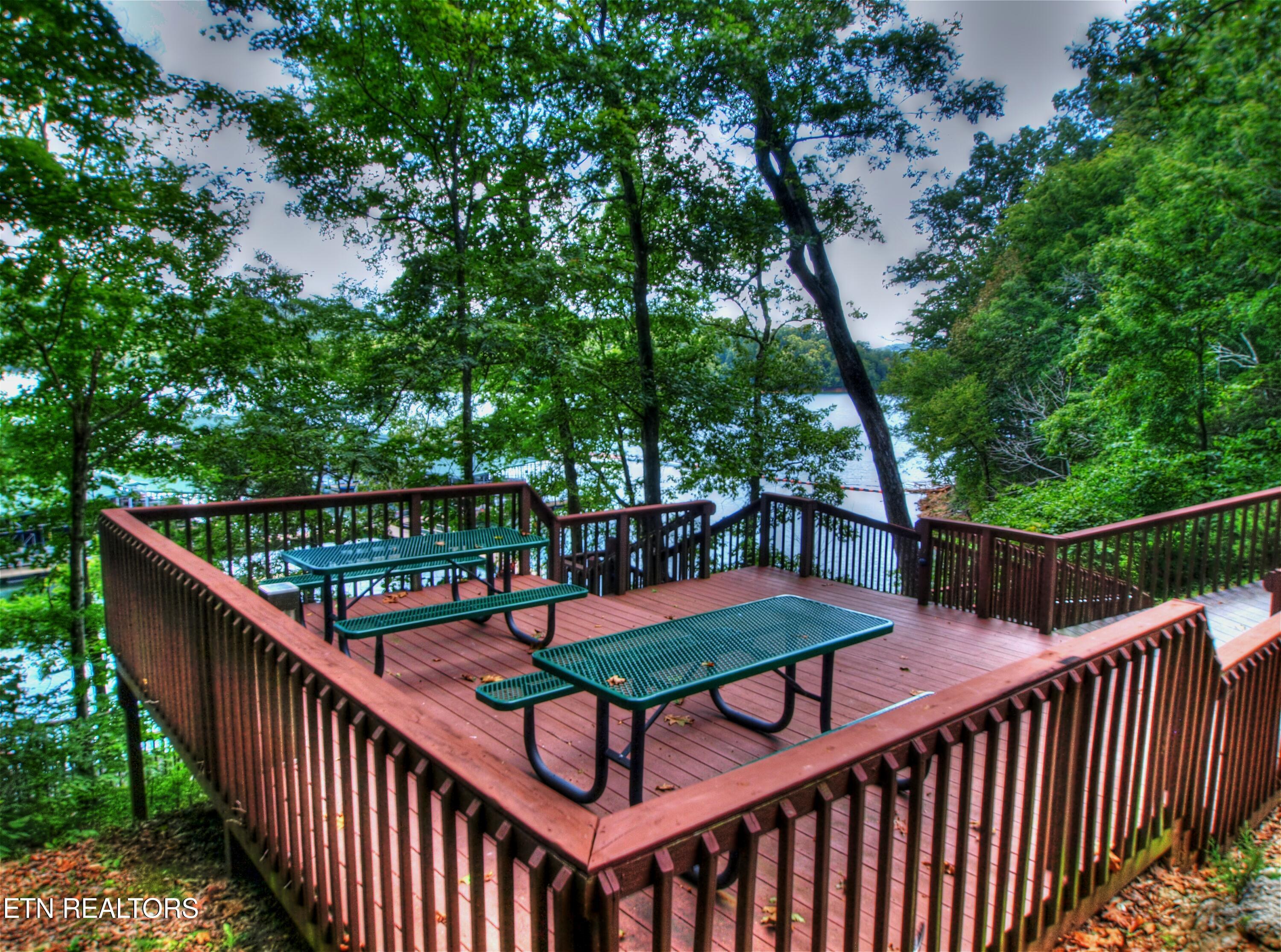 Norris Lake Real Estate - Image# 18