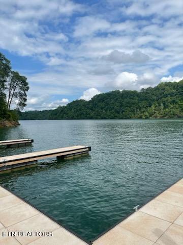 Norris Lake Real Estate - Image# 4