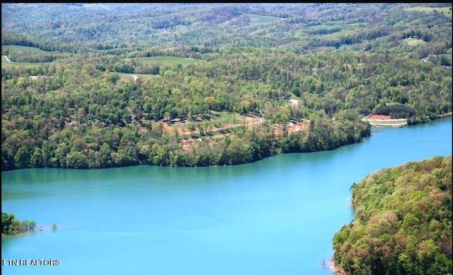 Norris Lake Real Estate - Image# 3