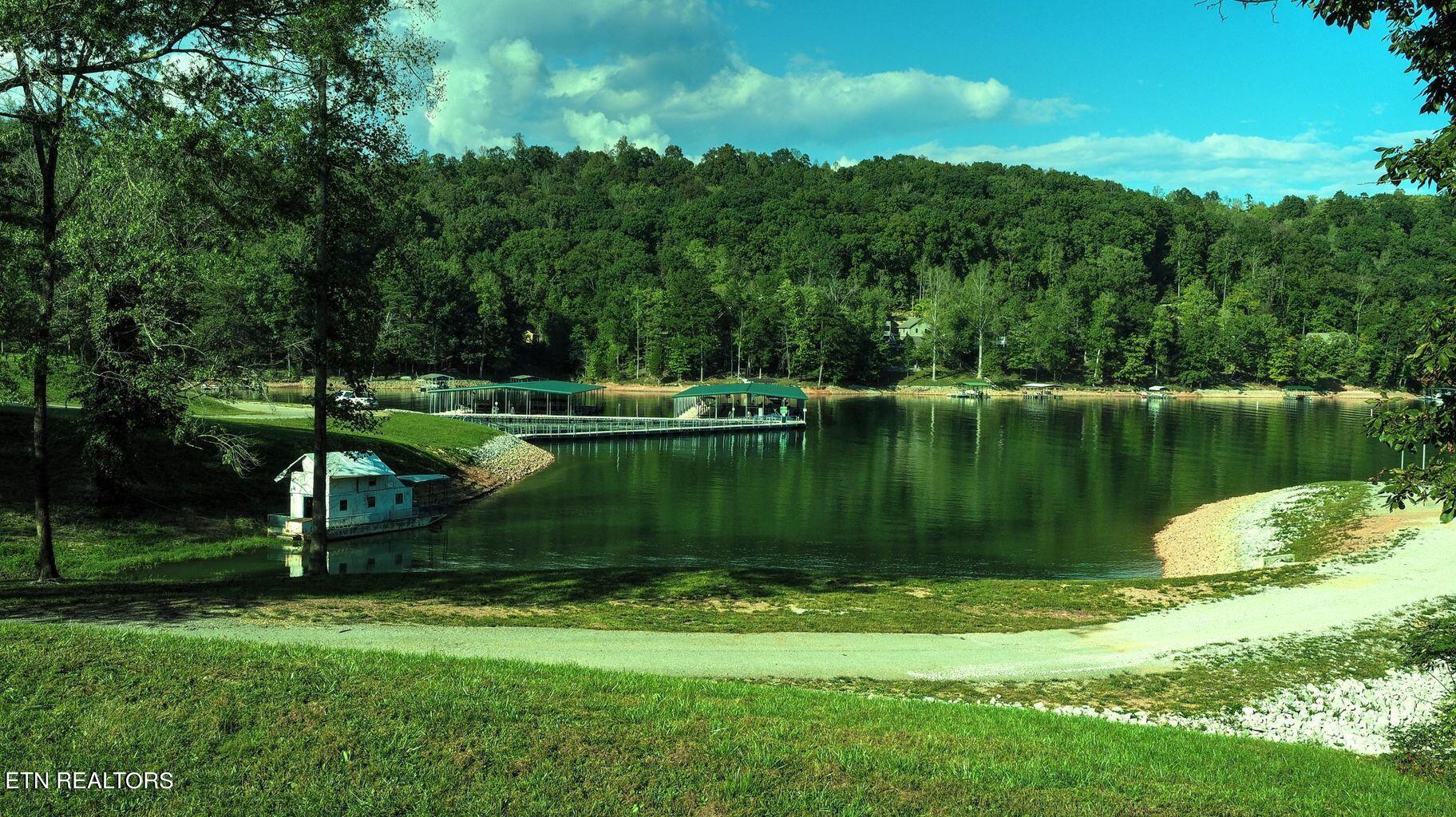 Norris Lake Real Estate - Image# 5