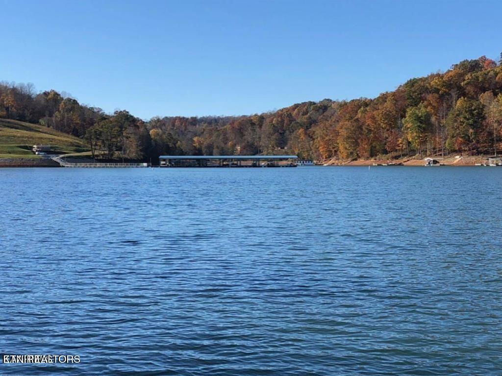 Norris Lake Real Estate - Image# 10