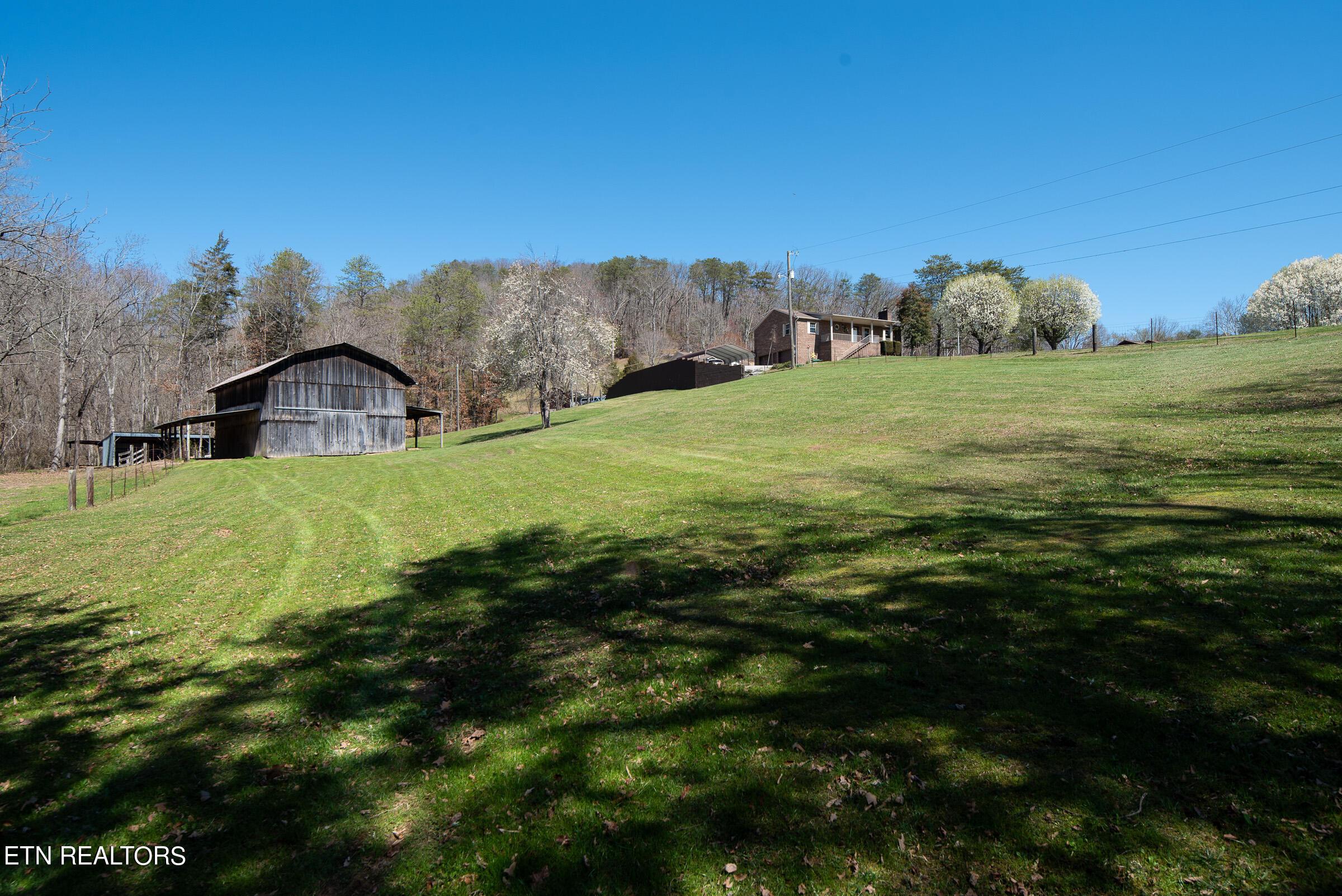 Norris Lake Real Estate - Image# 36