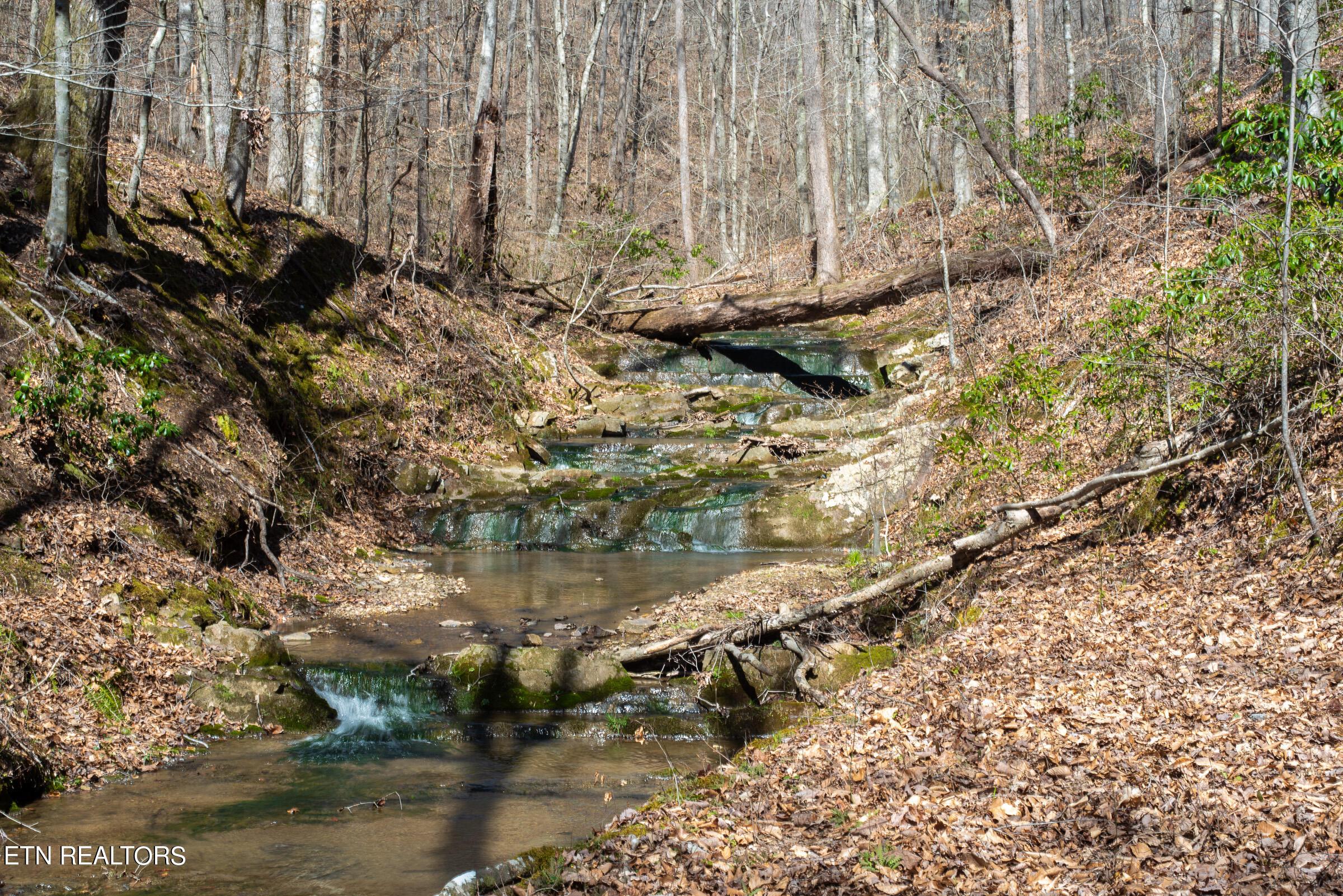 Norris Lake Real Estate - Image# 3