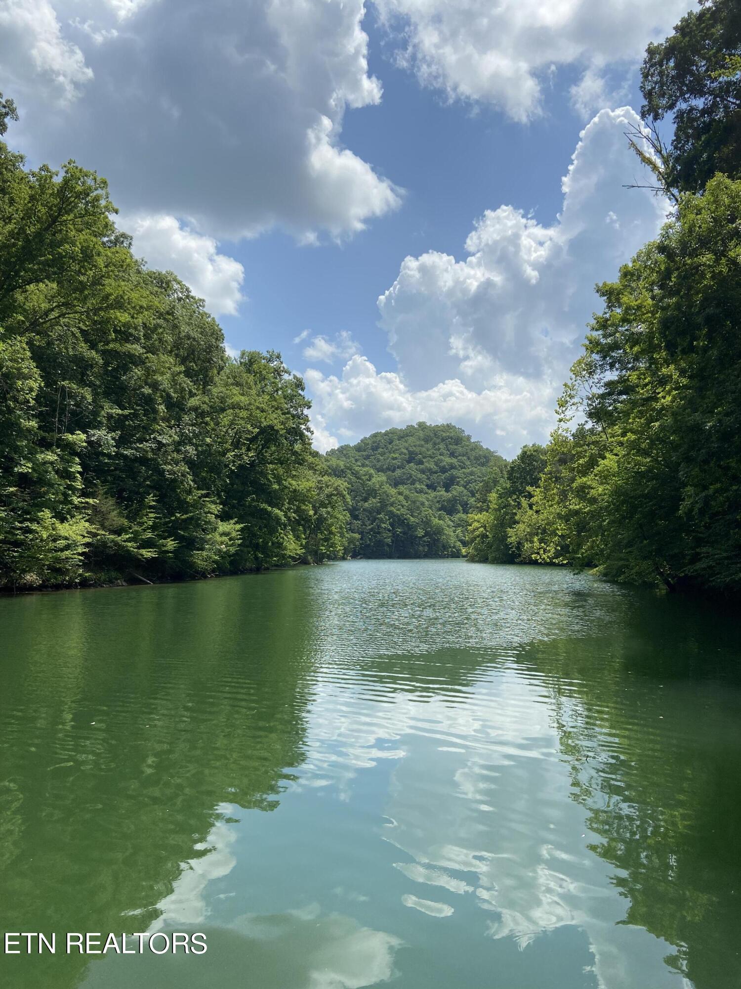 Norris Lake Real Estate - Image# 1