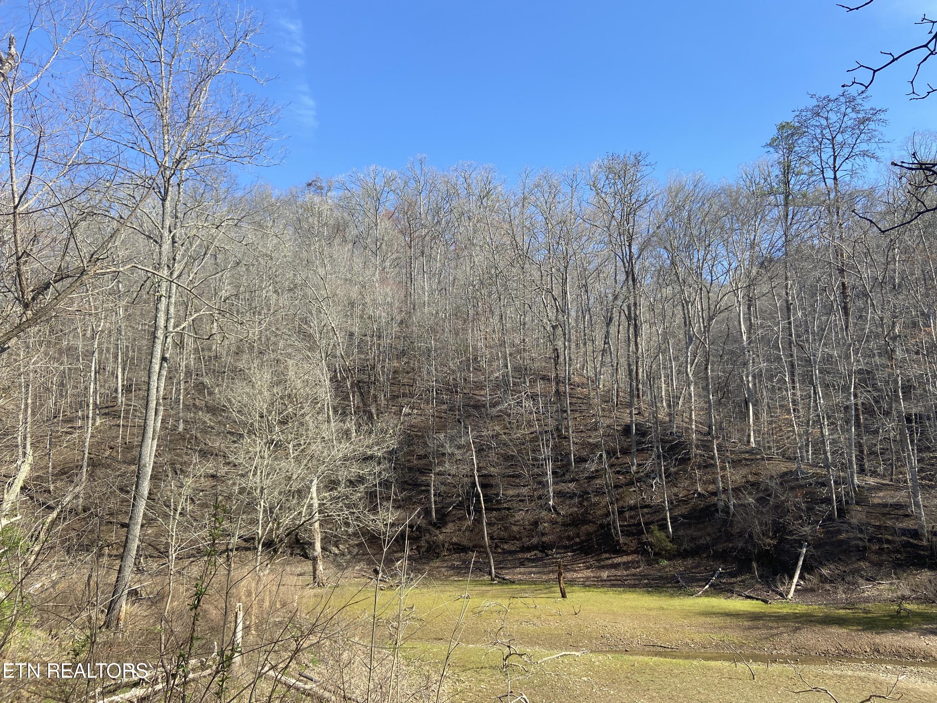 Norris Lake Real Estate - Image# 8