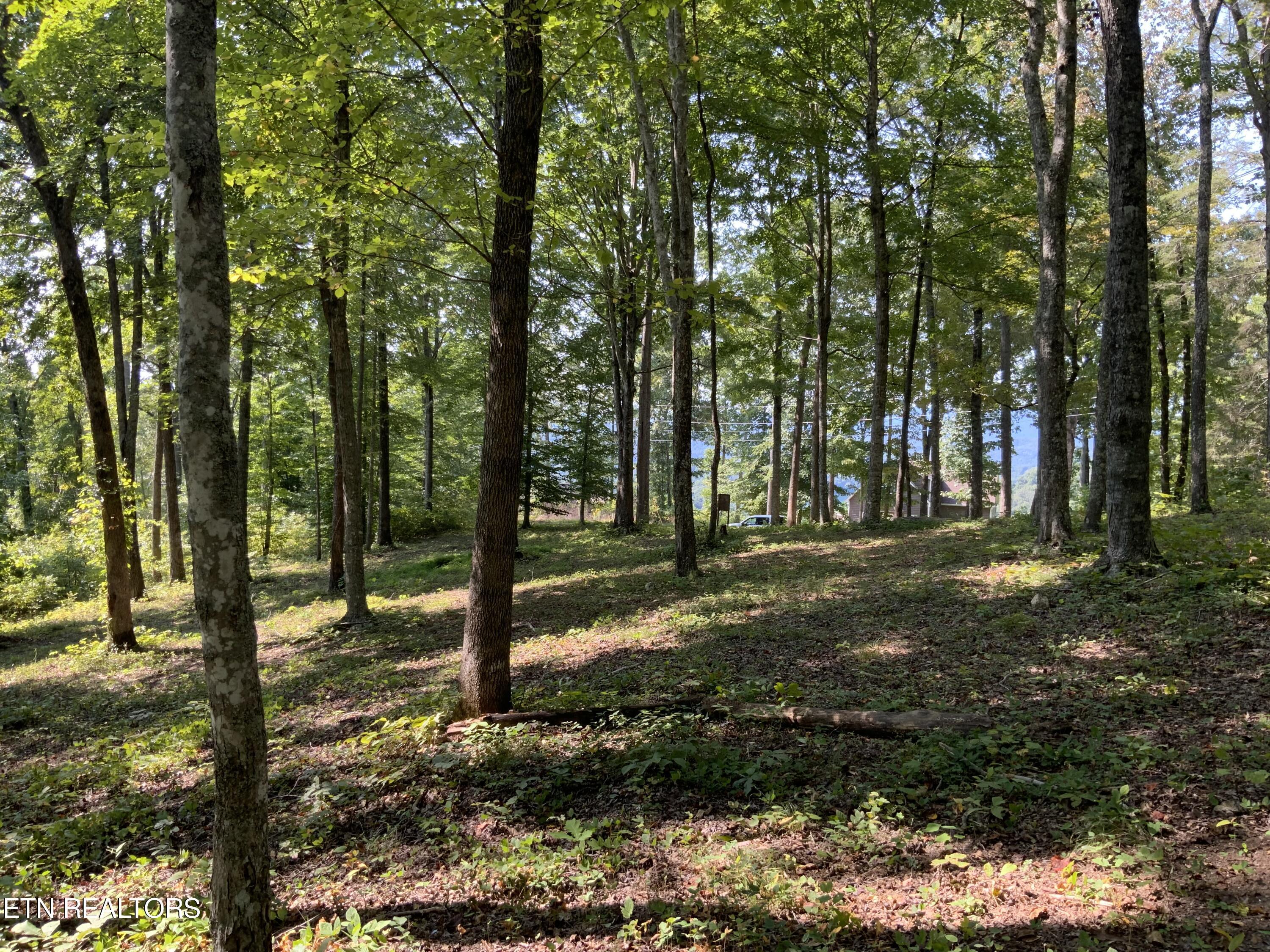 Norris Lake Real Estate - Image# 22