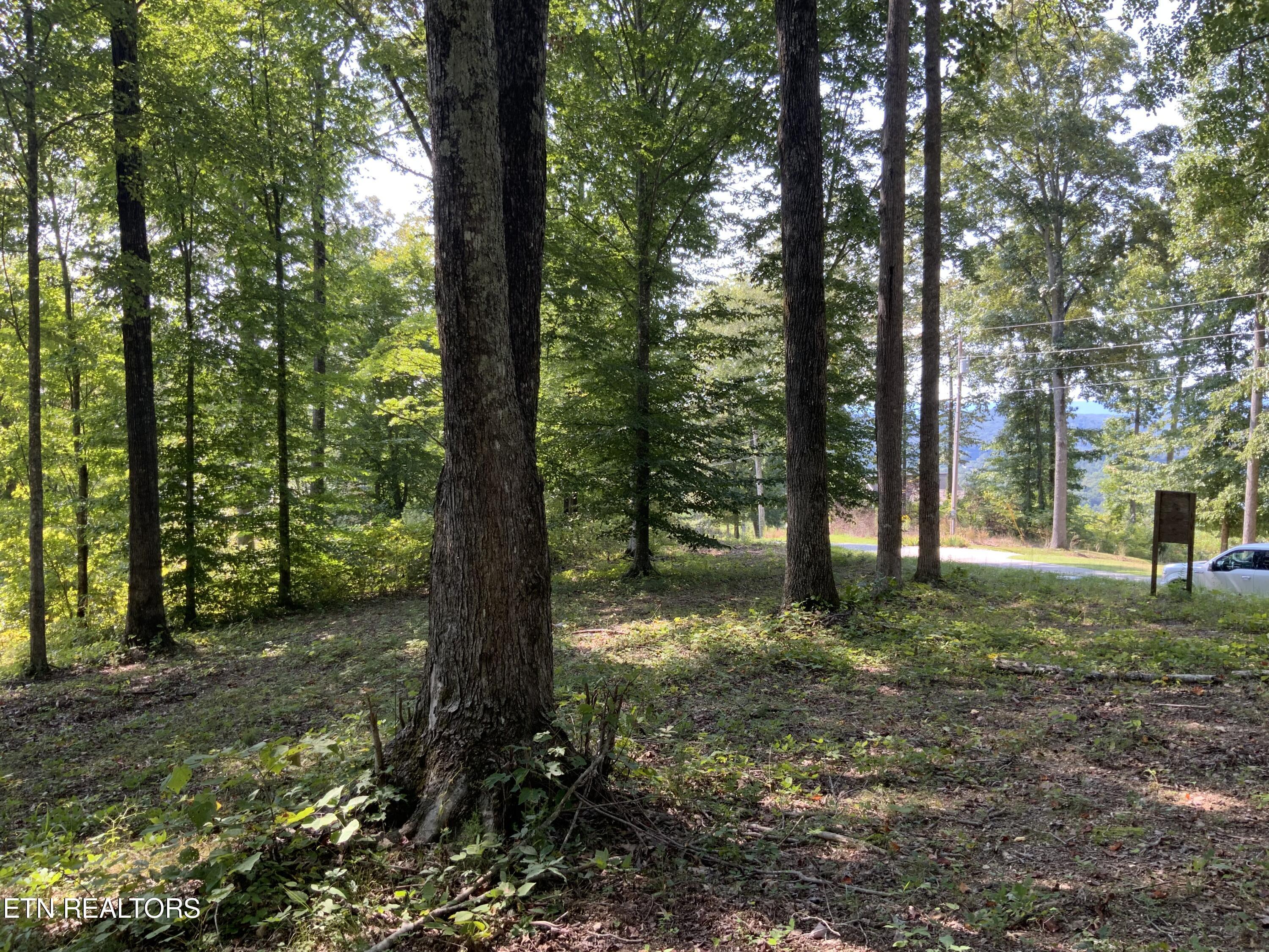 Norris Lake Real Estate - Image# 30