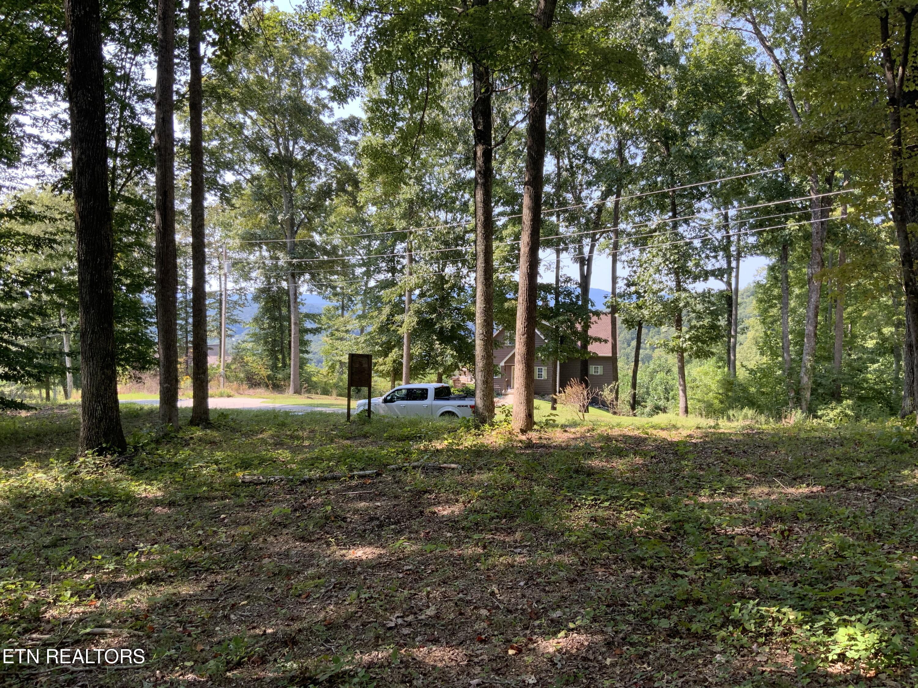 Norris Lake Real Estate - Image# 31