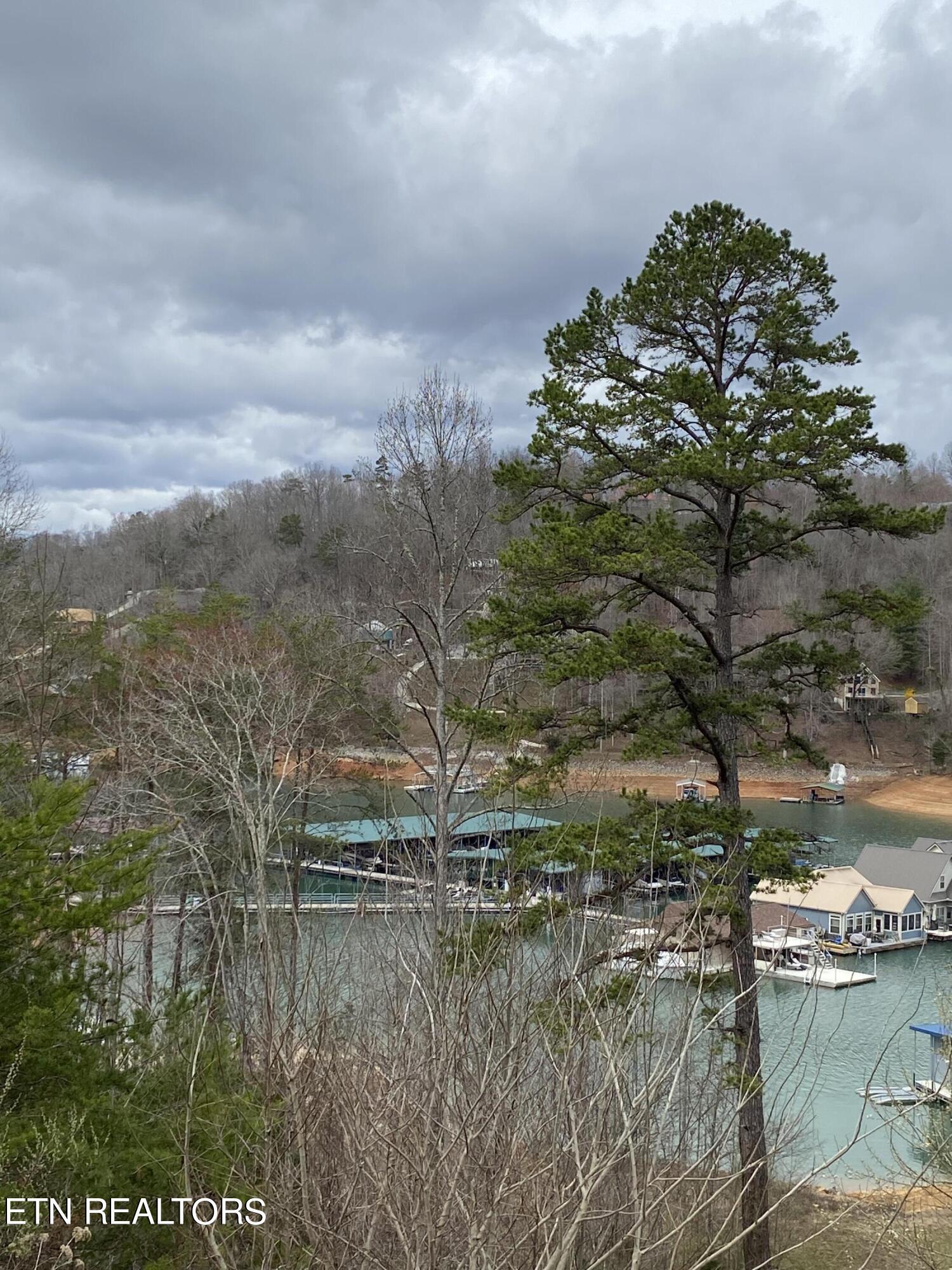 Norris Lake Real Estate - Image# 7