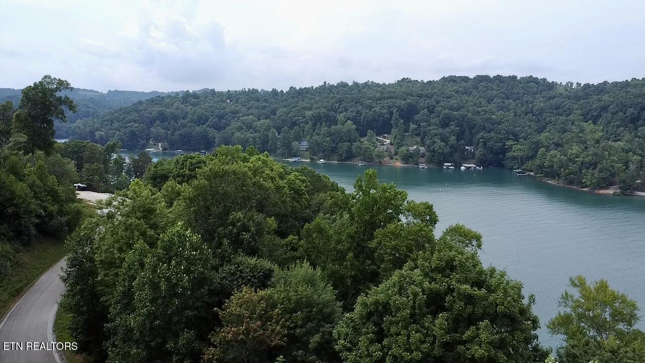 Norris Lake Real Estate - Image# 2