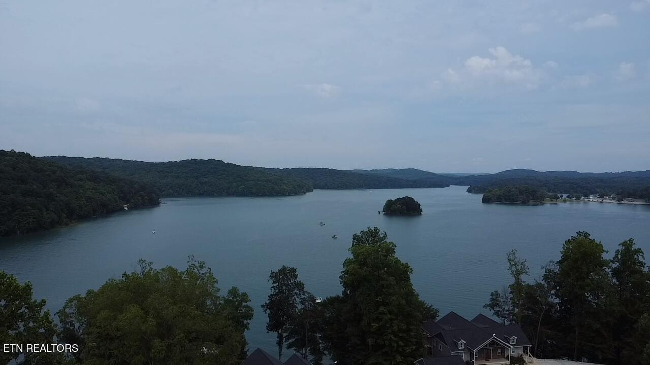 Norris Lake Real Estate - Image# 6