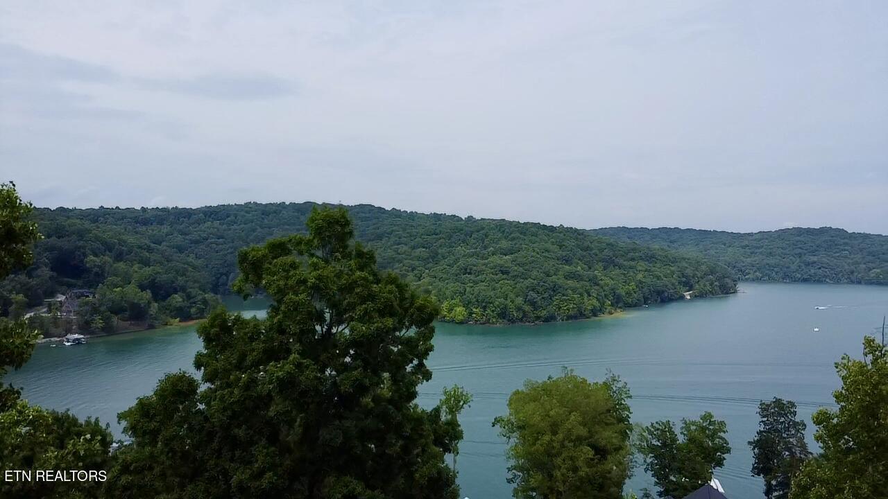 Norris Lake Real Estate - Image# 4