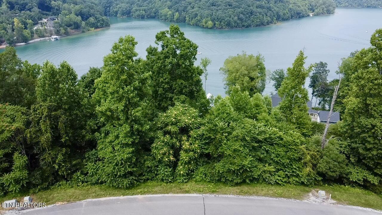 Norris Lake Real Estate - Image# 12