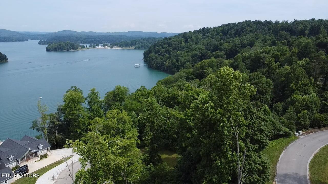 Norris Lake Real Estate - Image# 14