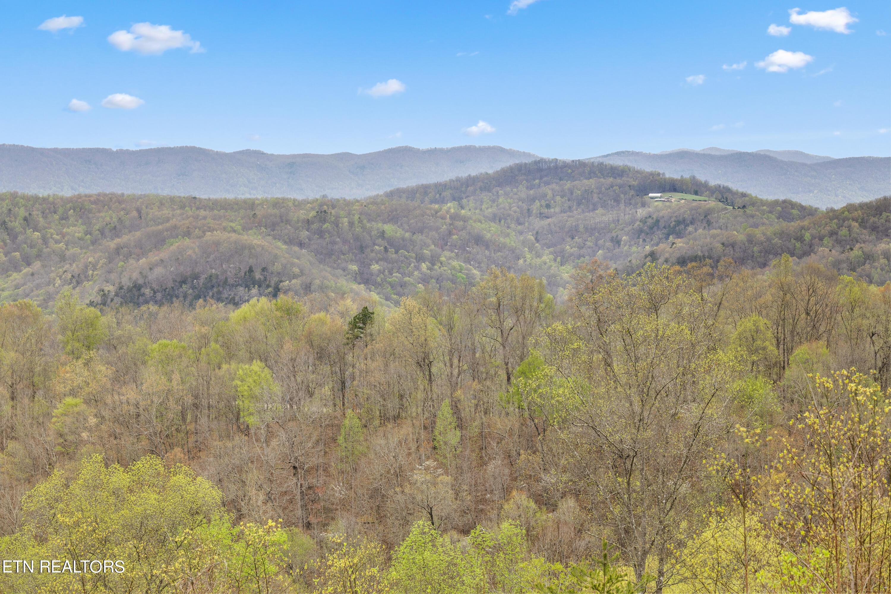 Norris Lake Real Estate - Image# 6