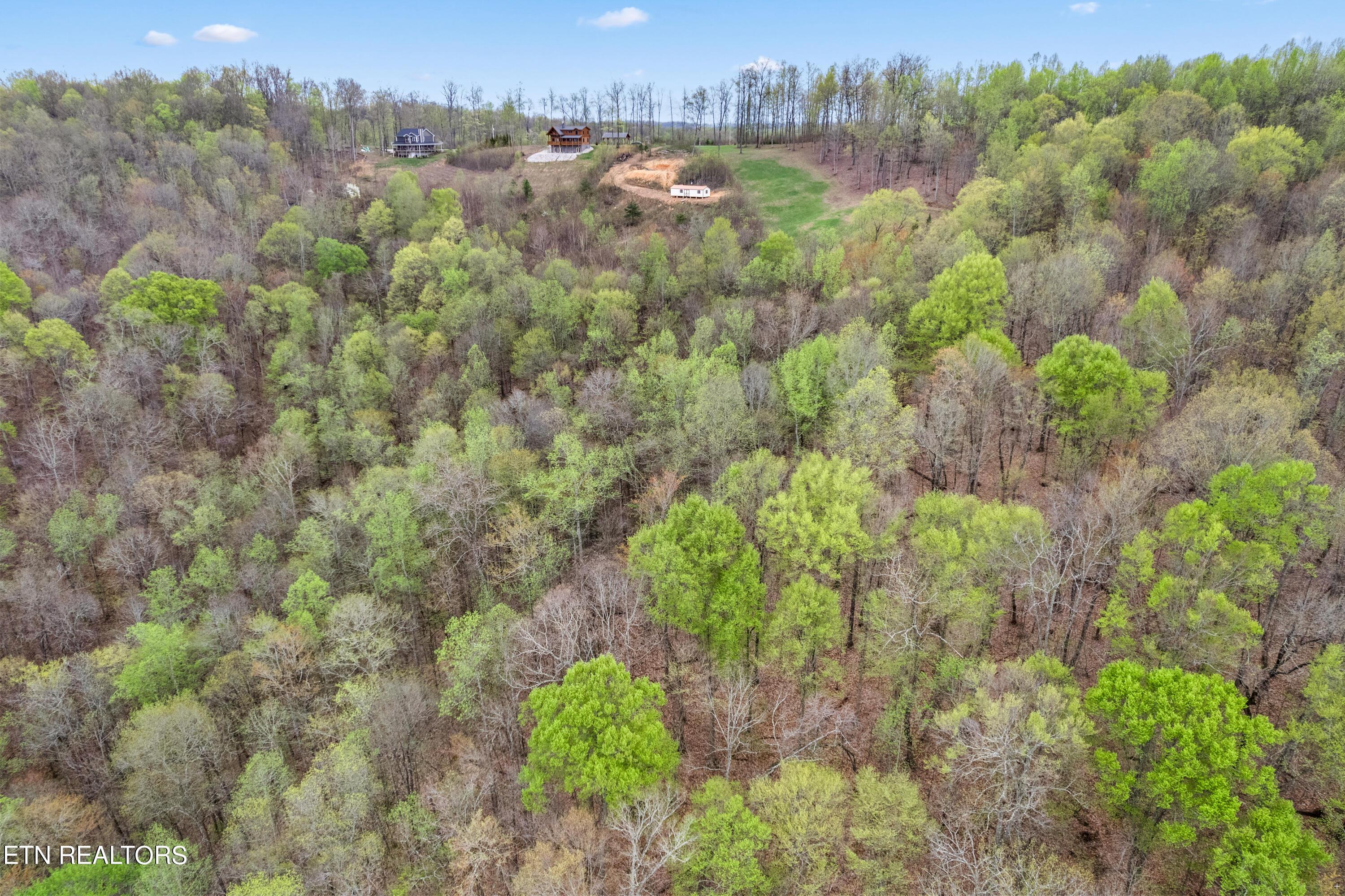 Norris Lake Real Estate - Image# 4