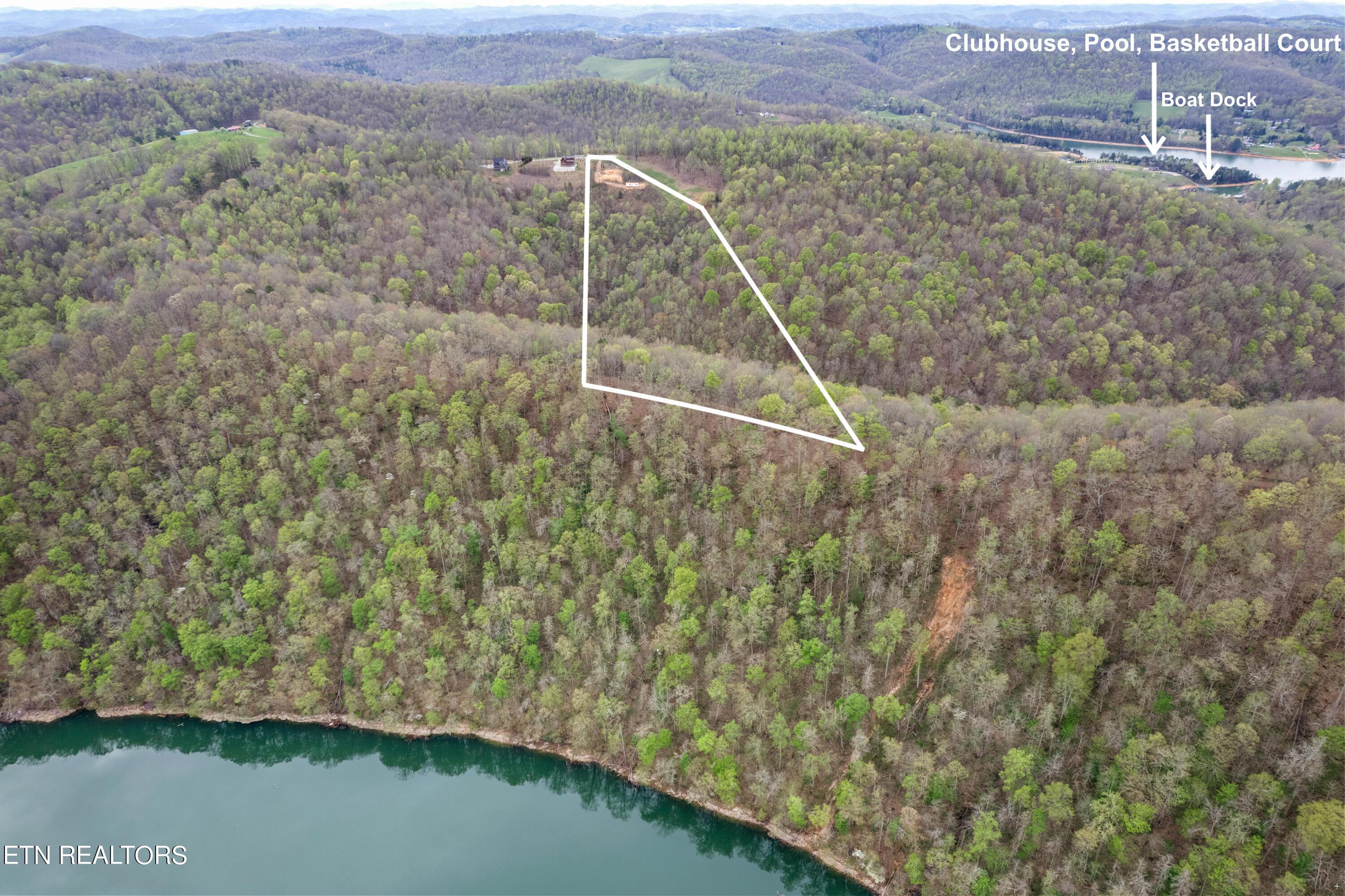 Norris Lake Real Estate - Image# 2