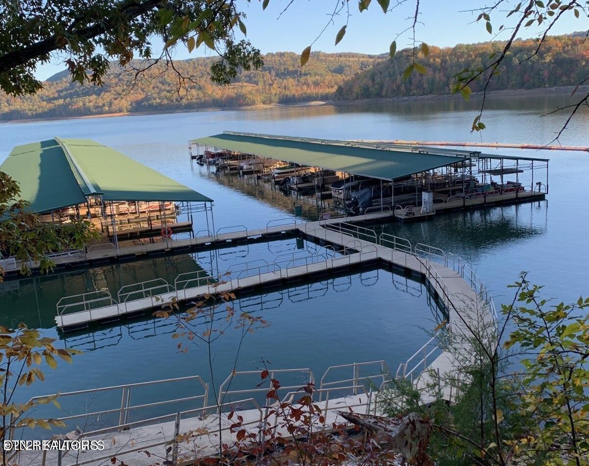 Norris Lake Real Estate - Image# 8