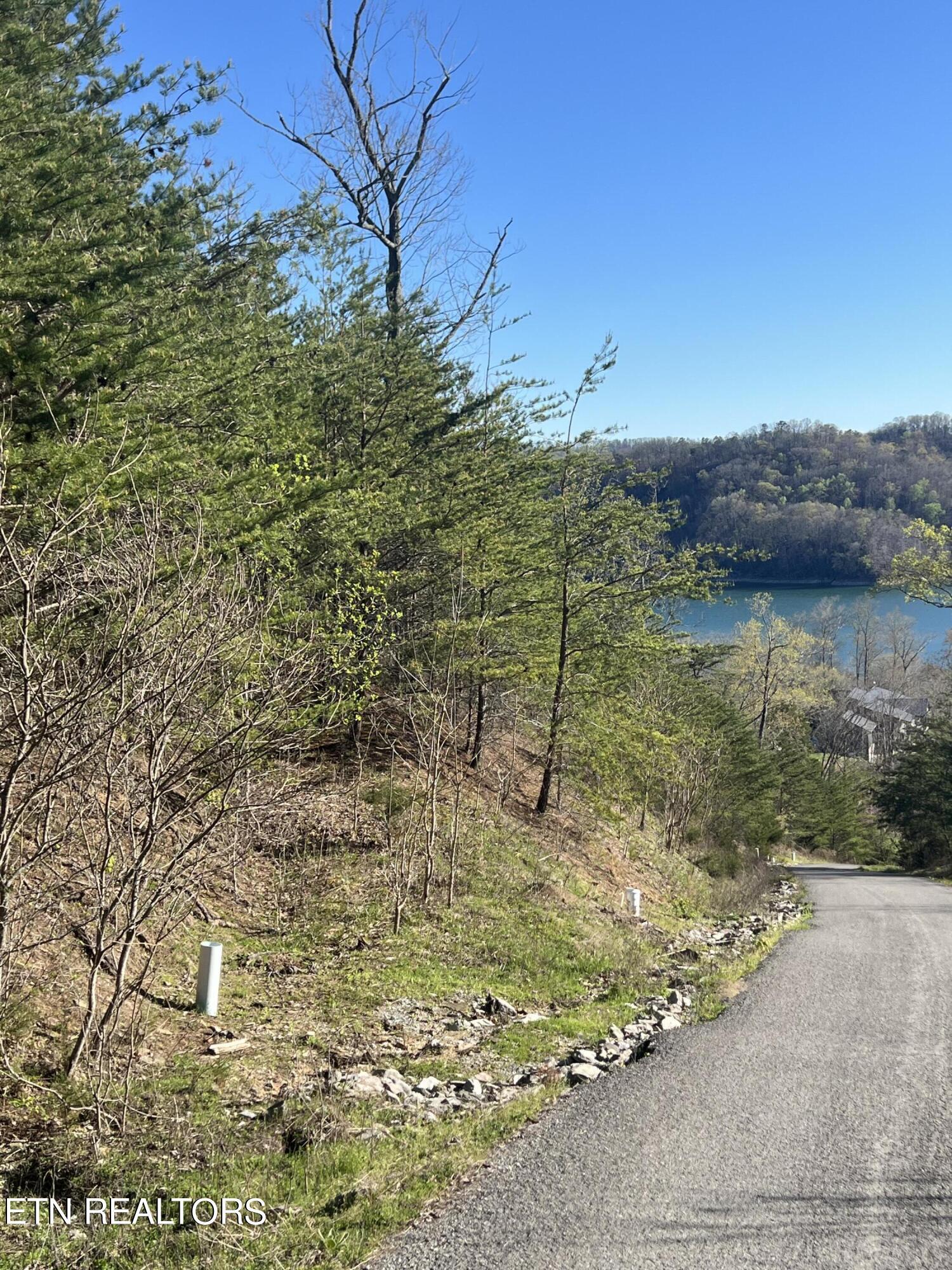 Norris Lake Real Estate - Image# 2