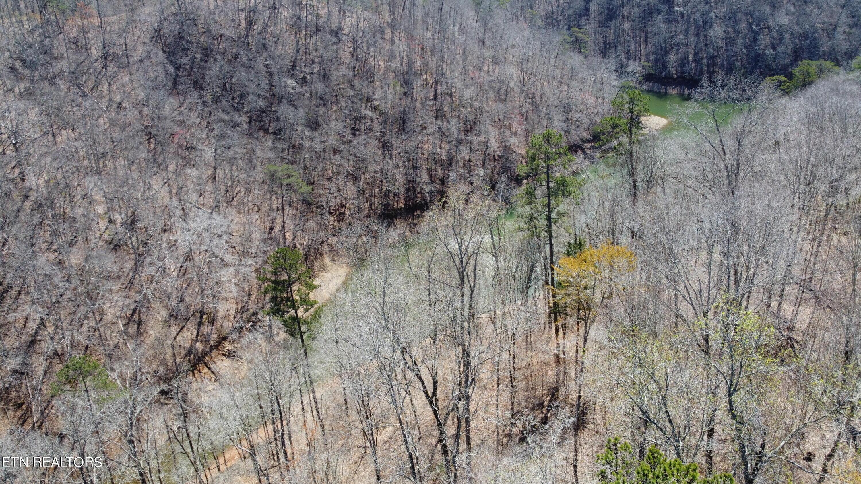 Norris Lake Real Estate - Image# 2