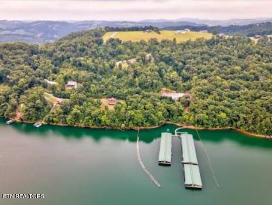 Norris Lake Real Estate - Image# 11