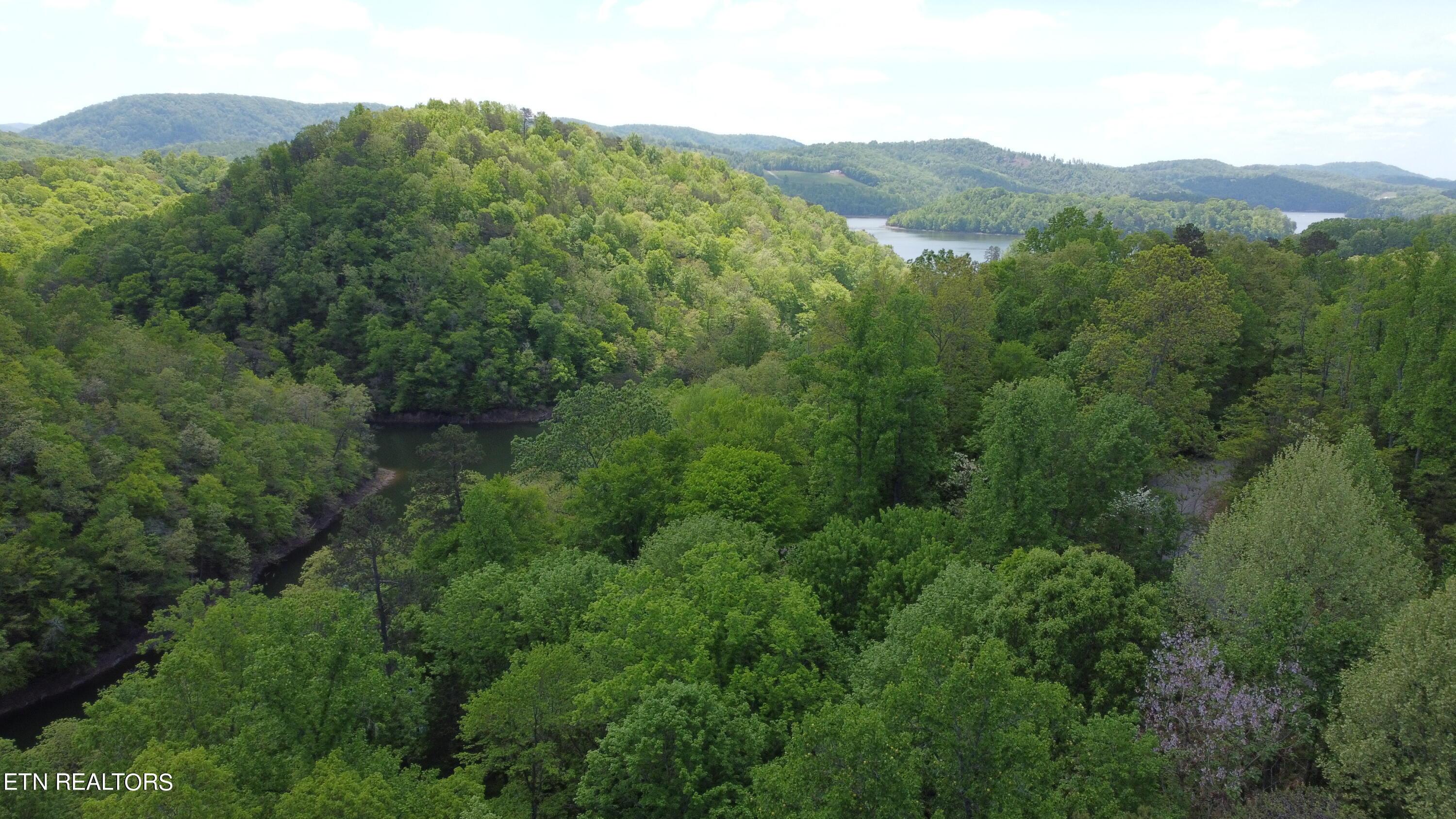 Norris Lake Real Estate - Image# 6