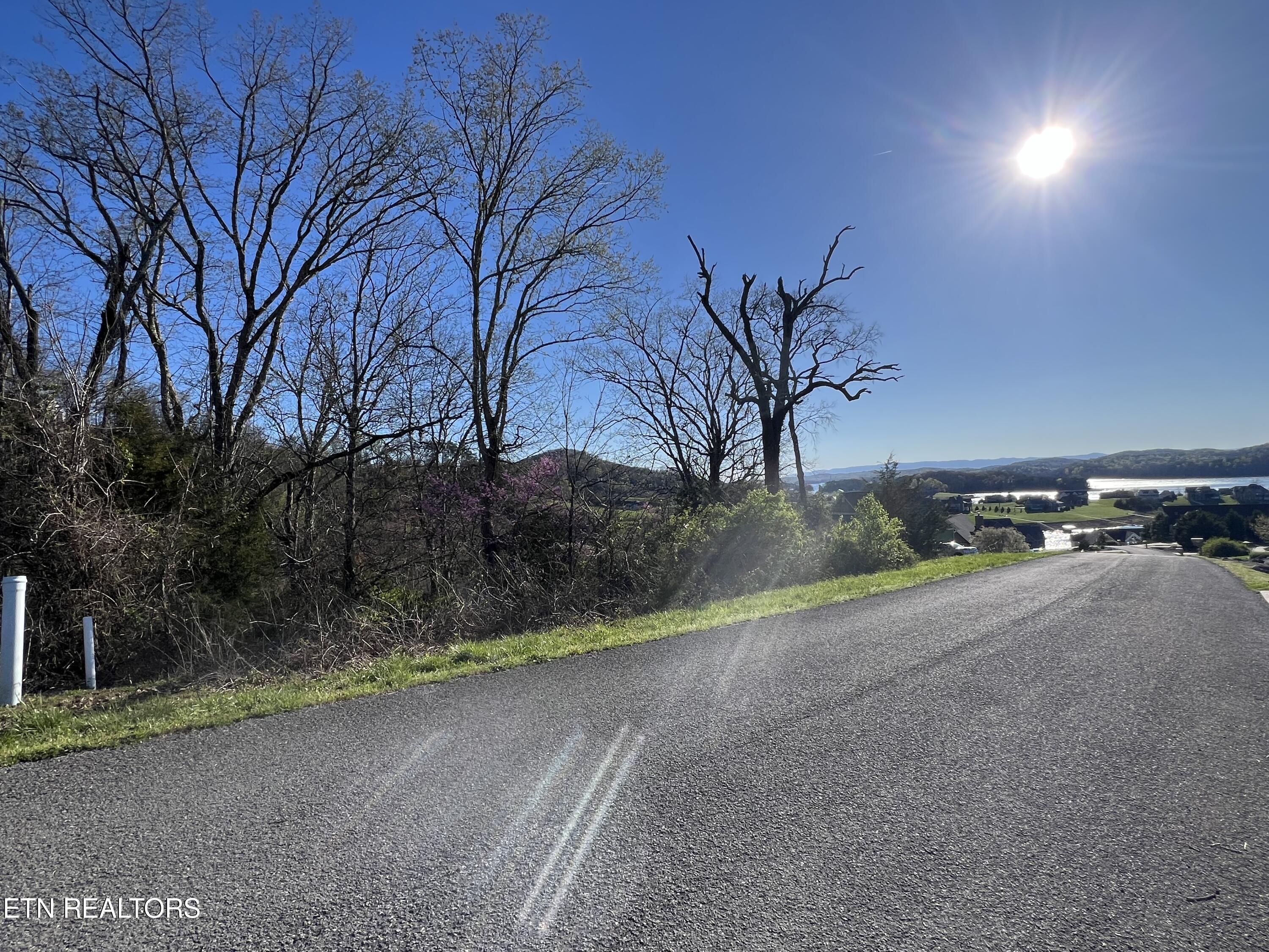 Norris Lake Real Estate - Image# 3