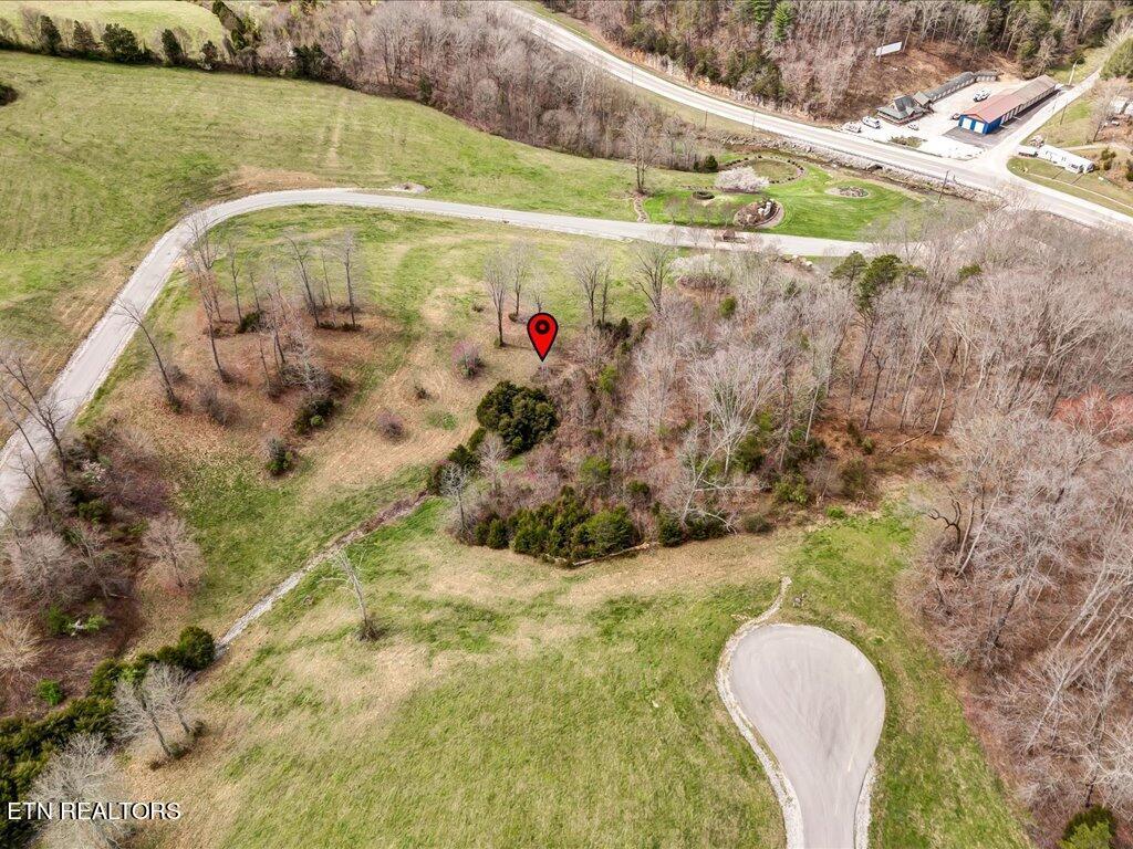 Norris Lake Real Estate - Image# 11