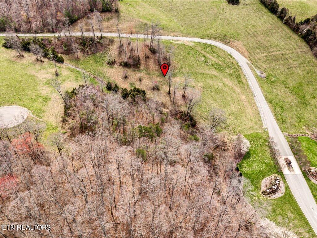 Norris Lake Real Estate - Image# 12