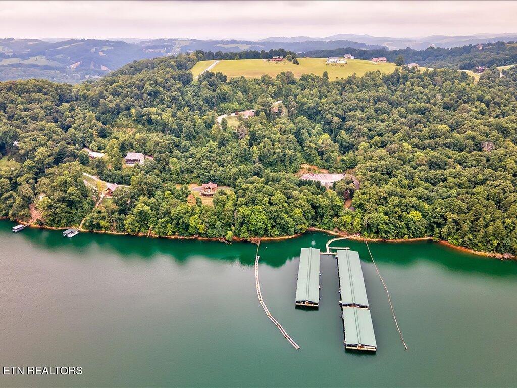 Norris Lake Real Estate - Image# 27