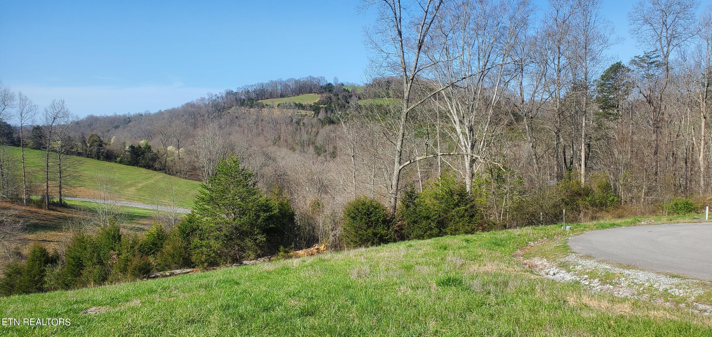 Norris Lake Real Estate - Image# 33