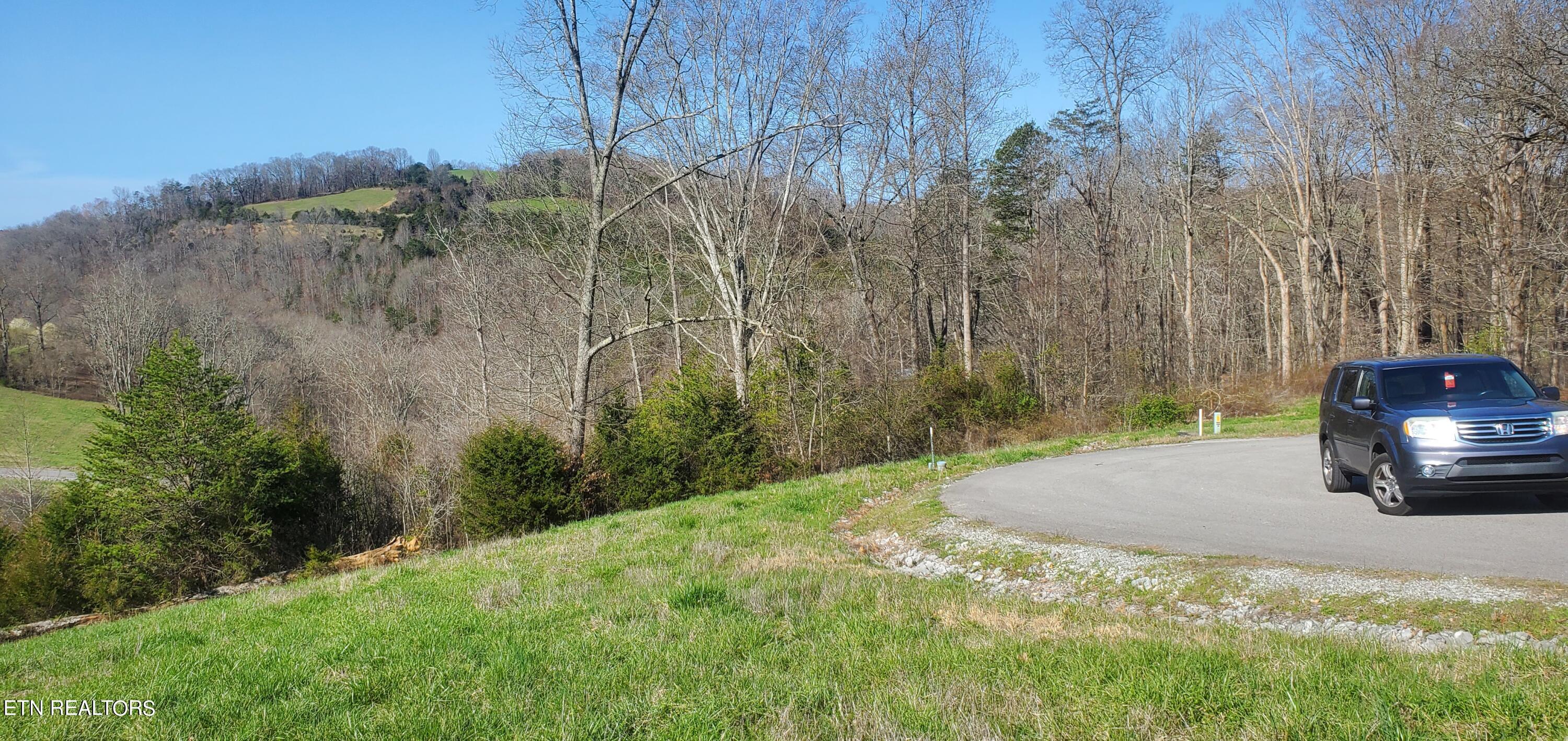 Norris Lake Real Estate - Image# 34