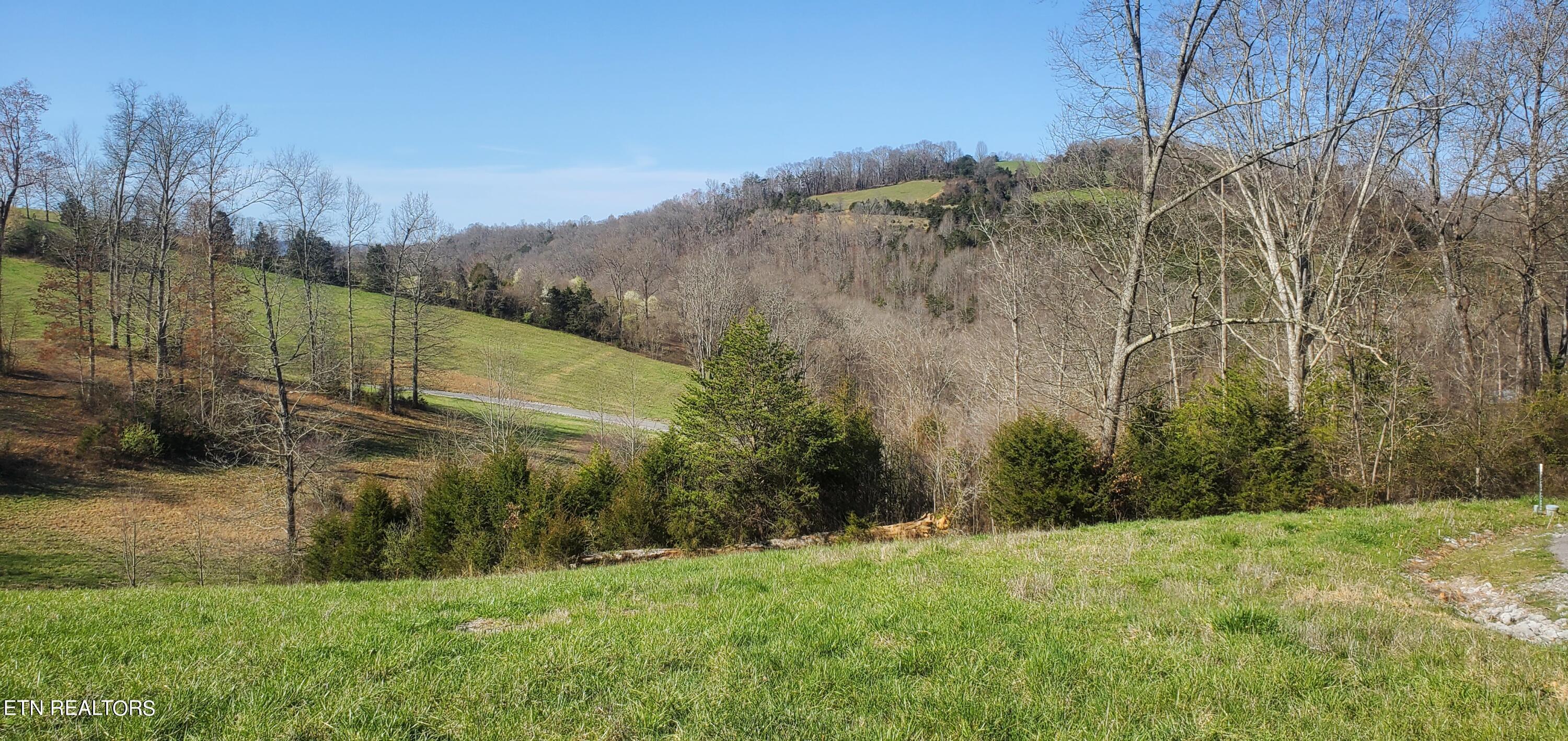 Norris Lake Real Estate - Image# 35