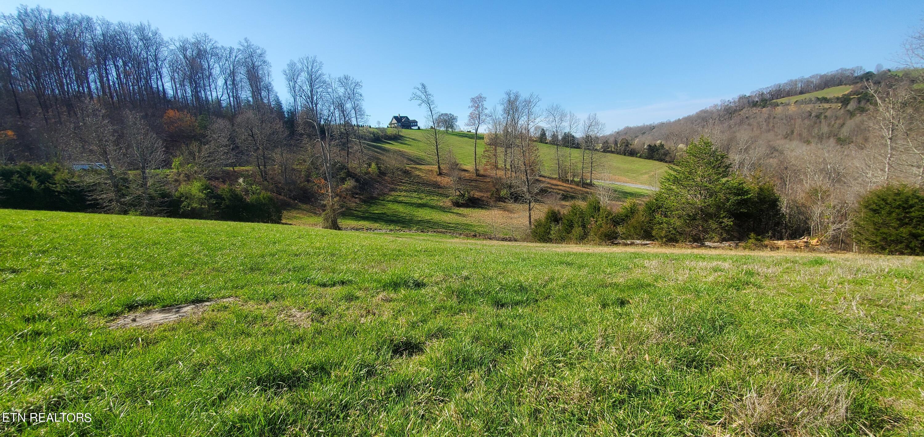 Norris Lake Real Estate - Image# 37