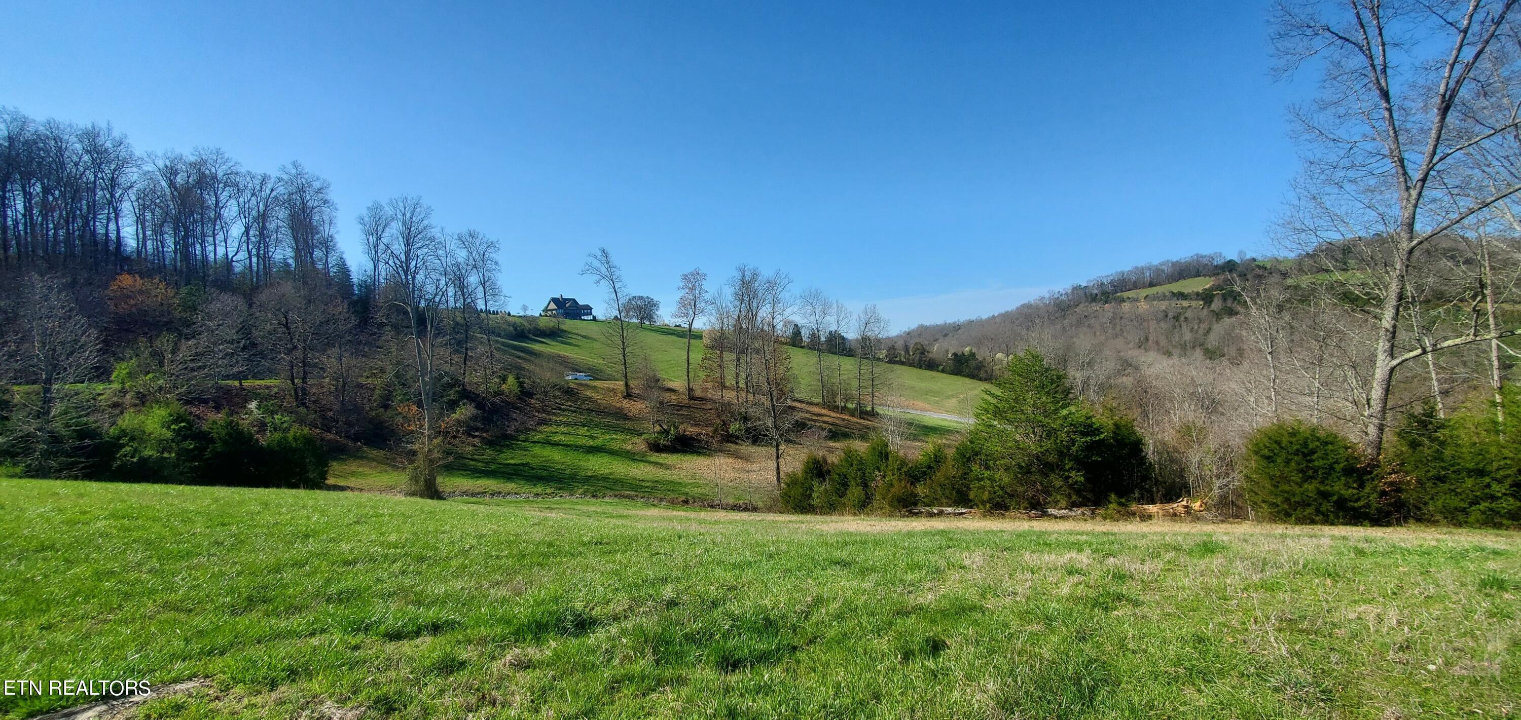 Norris Lake Real Estate - Image# 39