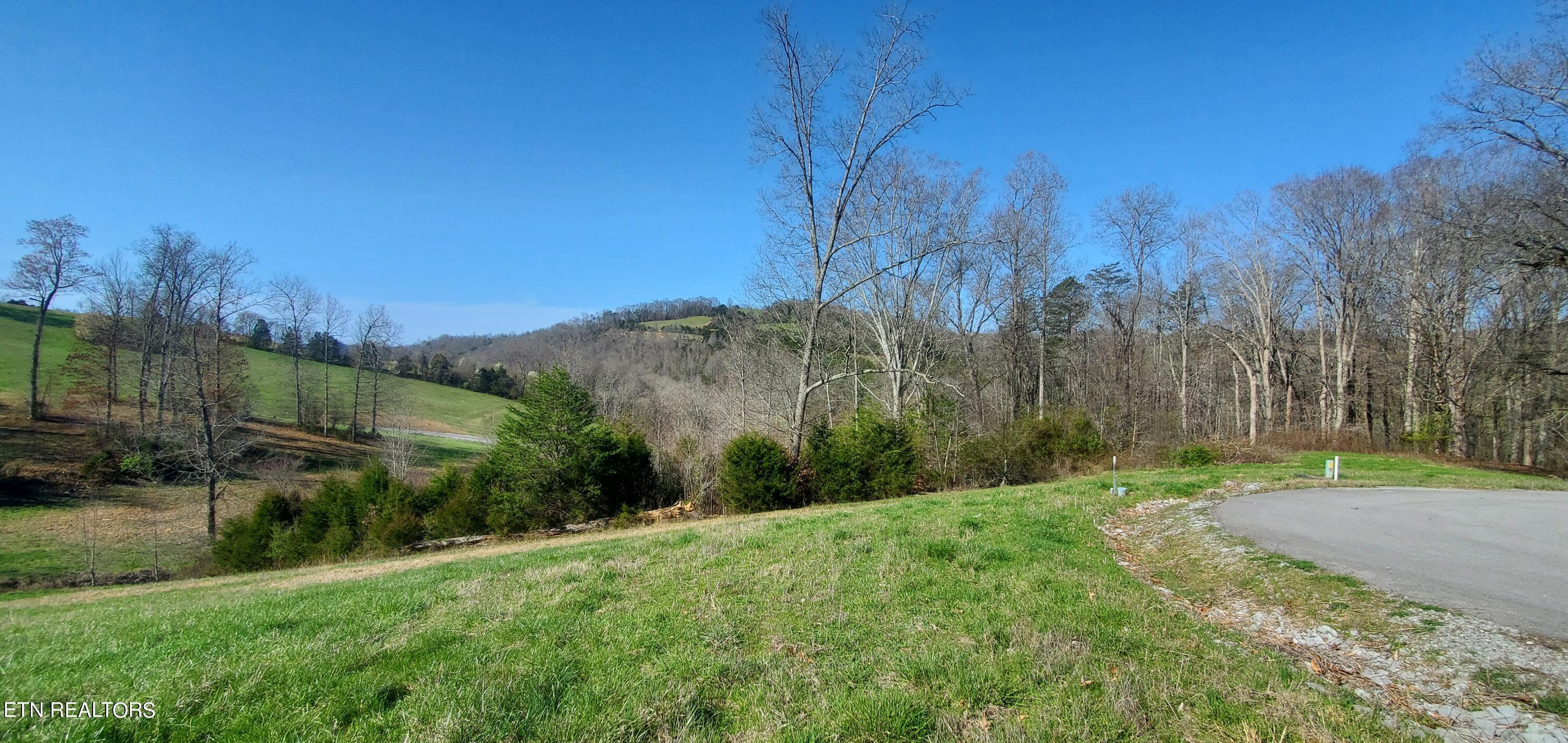 Norris Lake Real Estate - Image# 40