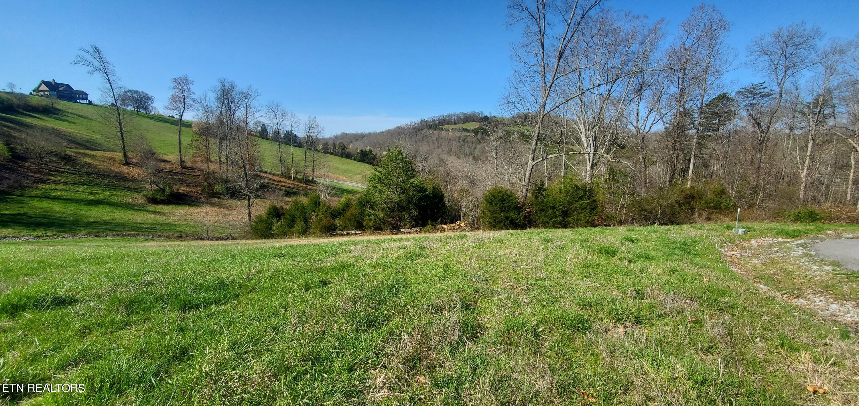 Norris Lake Real Estate - Image# 41