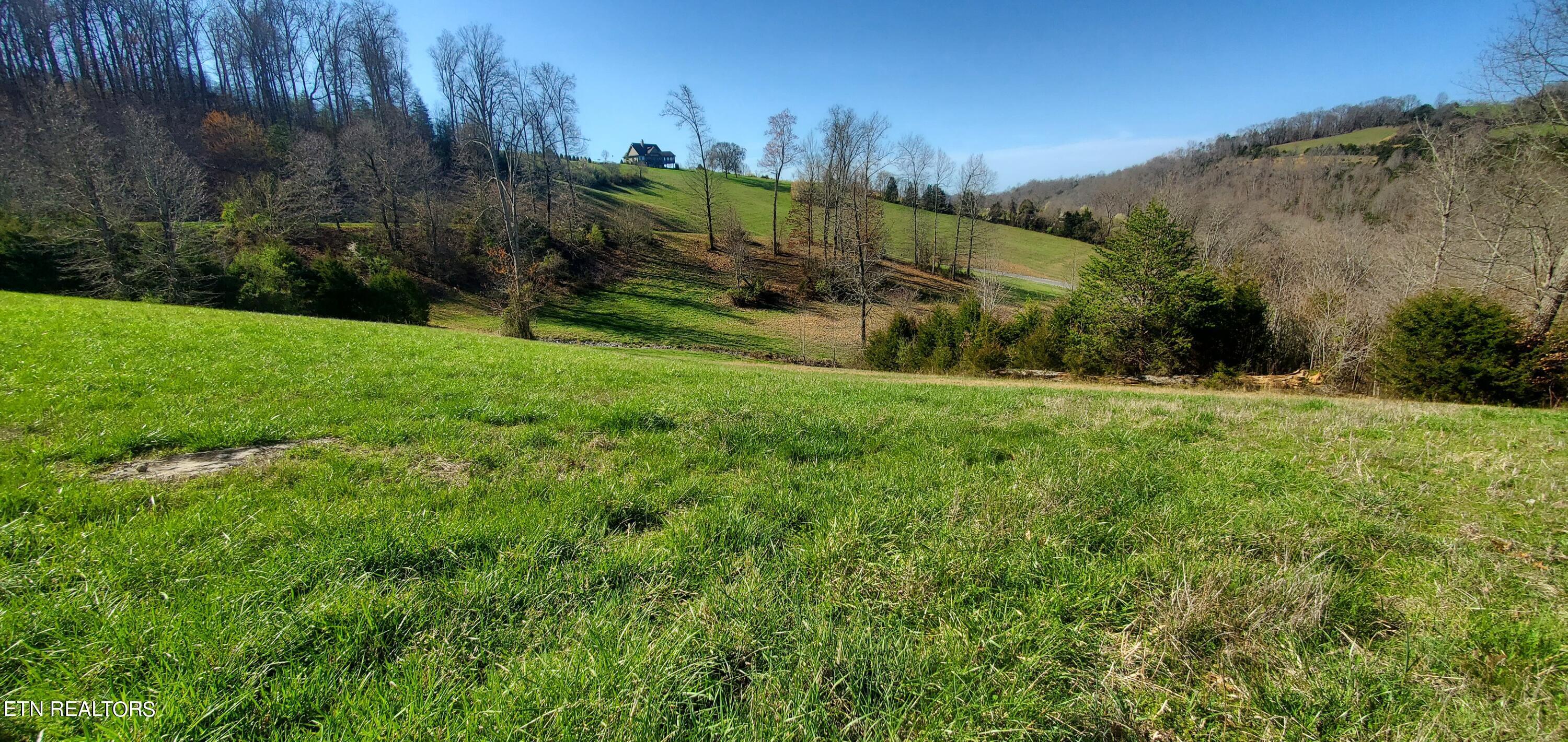 Norris Lake Real Estate - Image# 42