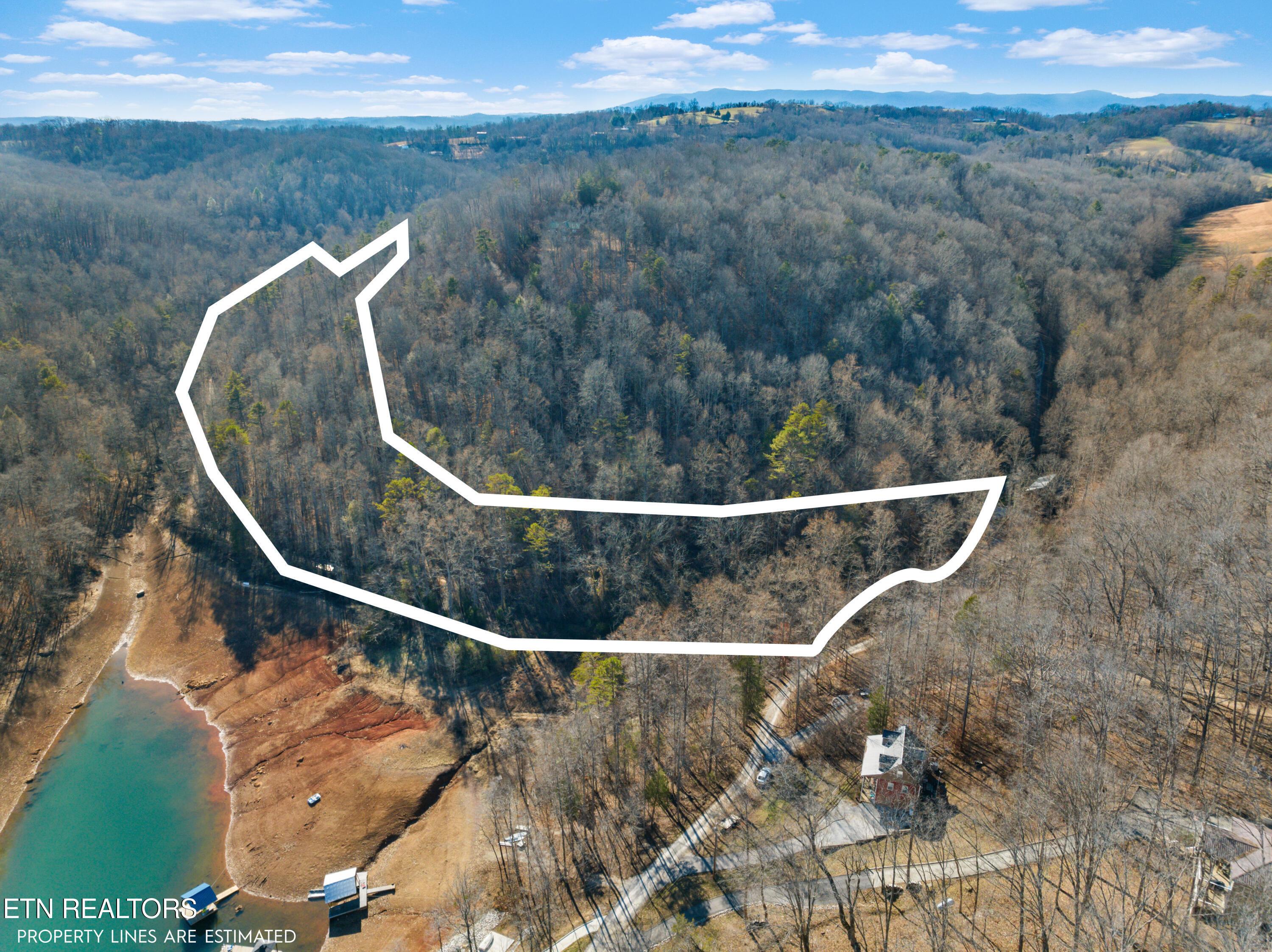 Norris Lake Real Estate - Image# 1