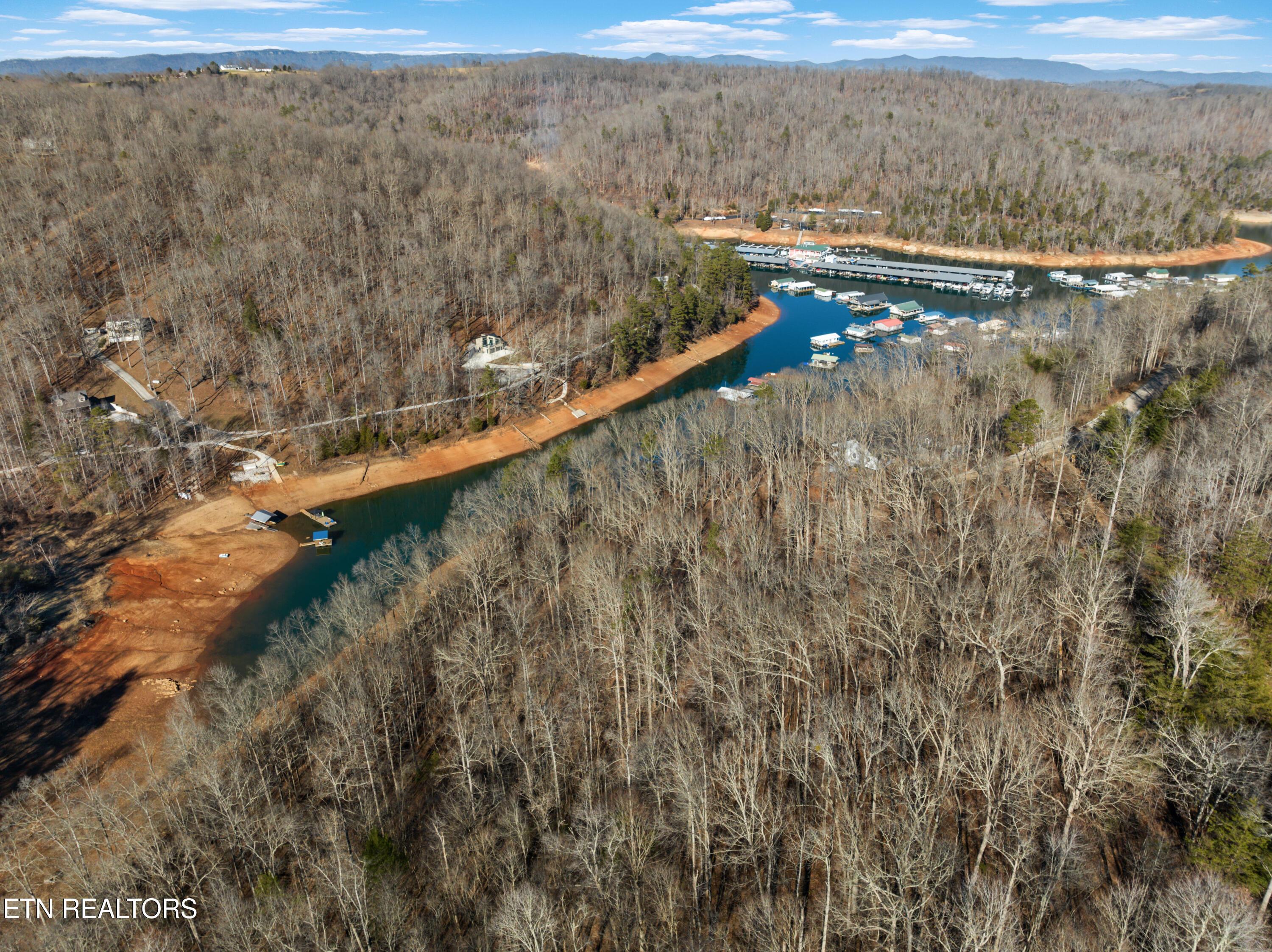 Norris Lake Real Estate - Image# 5