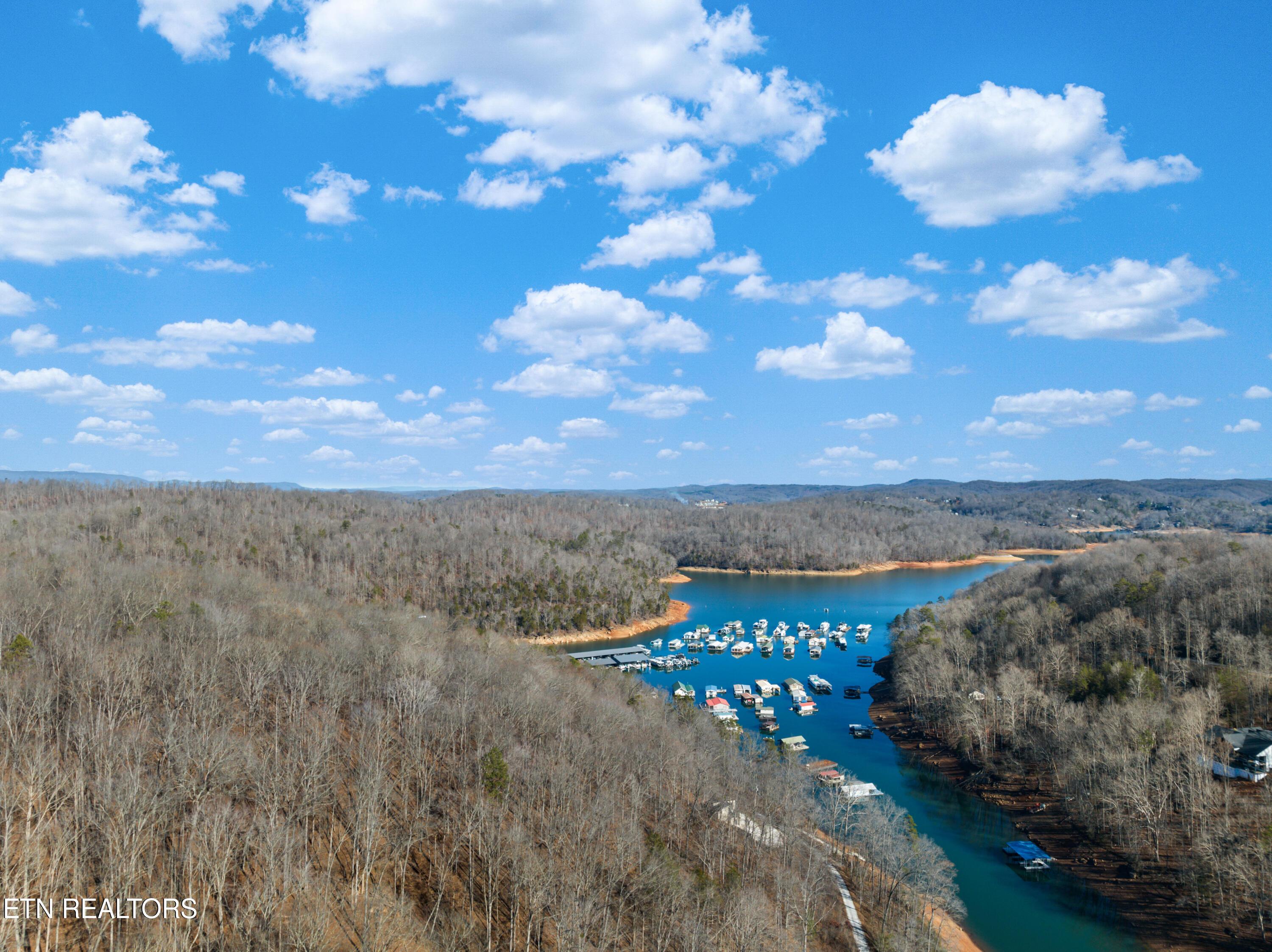 Norris Lake Real Estate - Image# 6