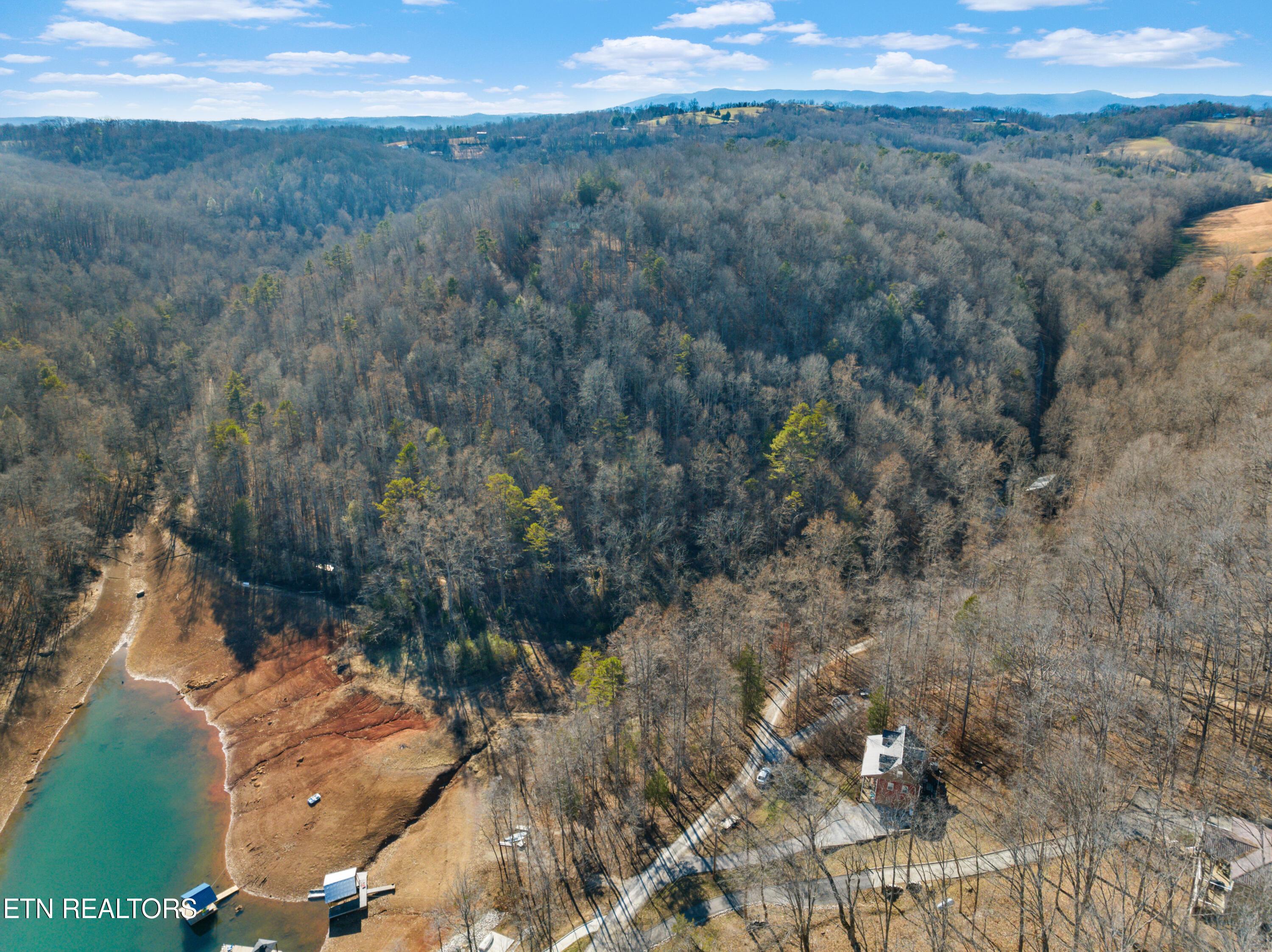 Norris Lake Real Estate - Image# 9