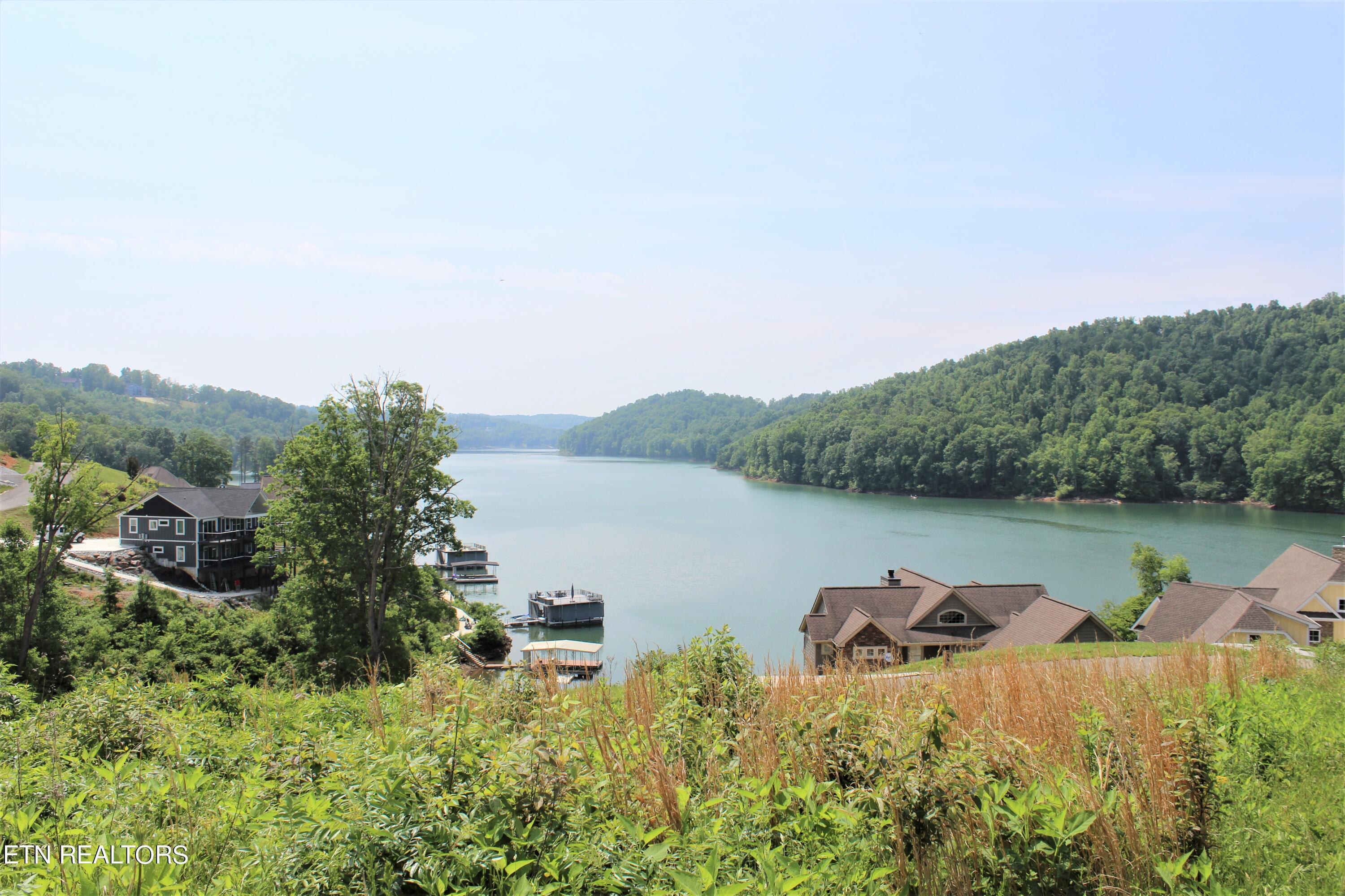 Norris Lake Real Estate - Image# 6