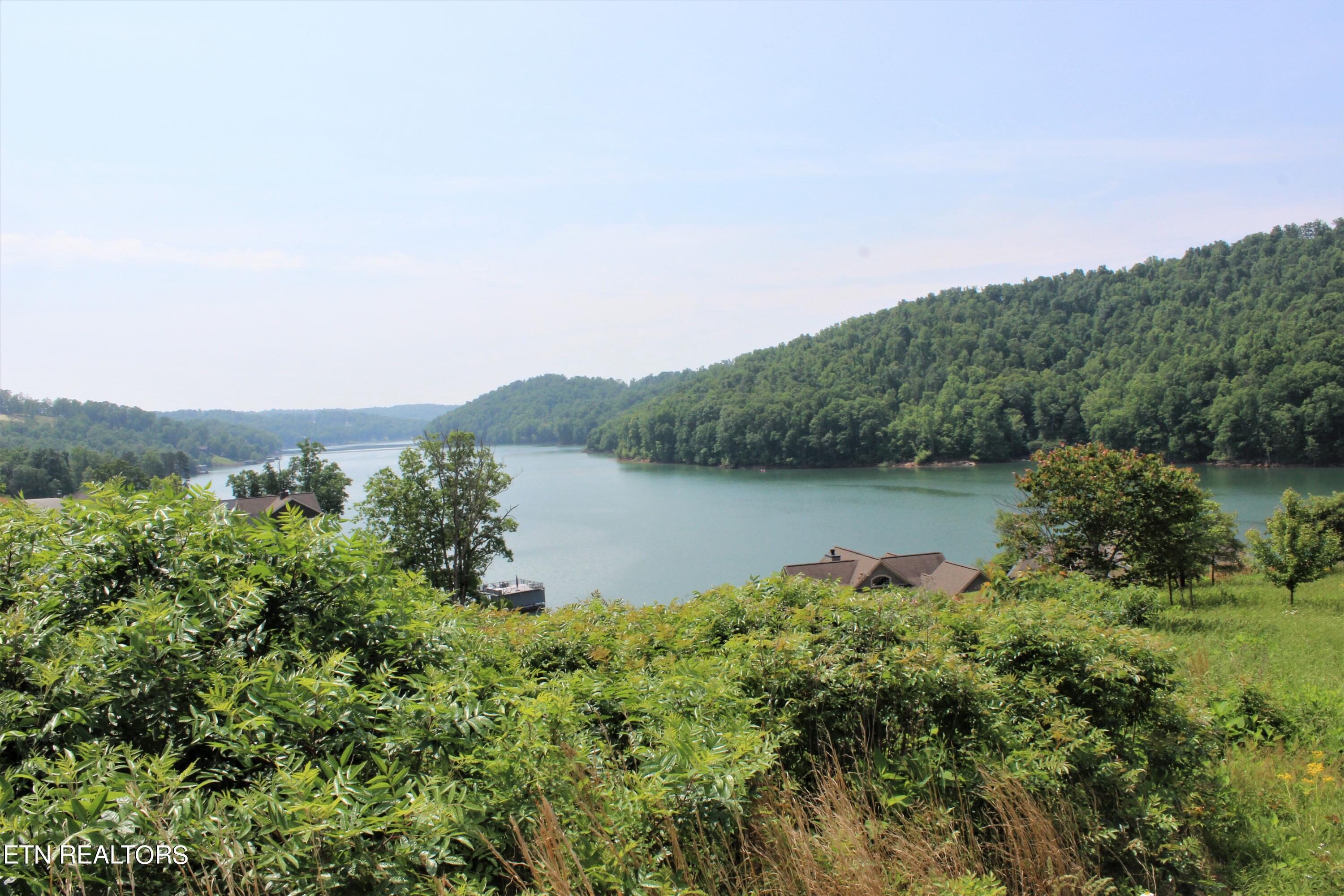 Norris Lake Real Estate - Image# 8